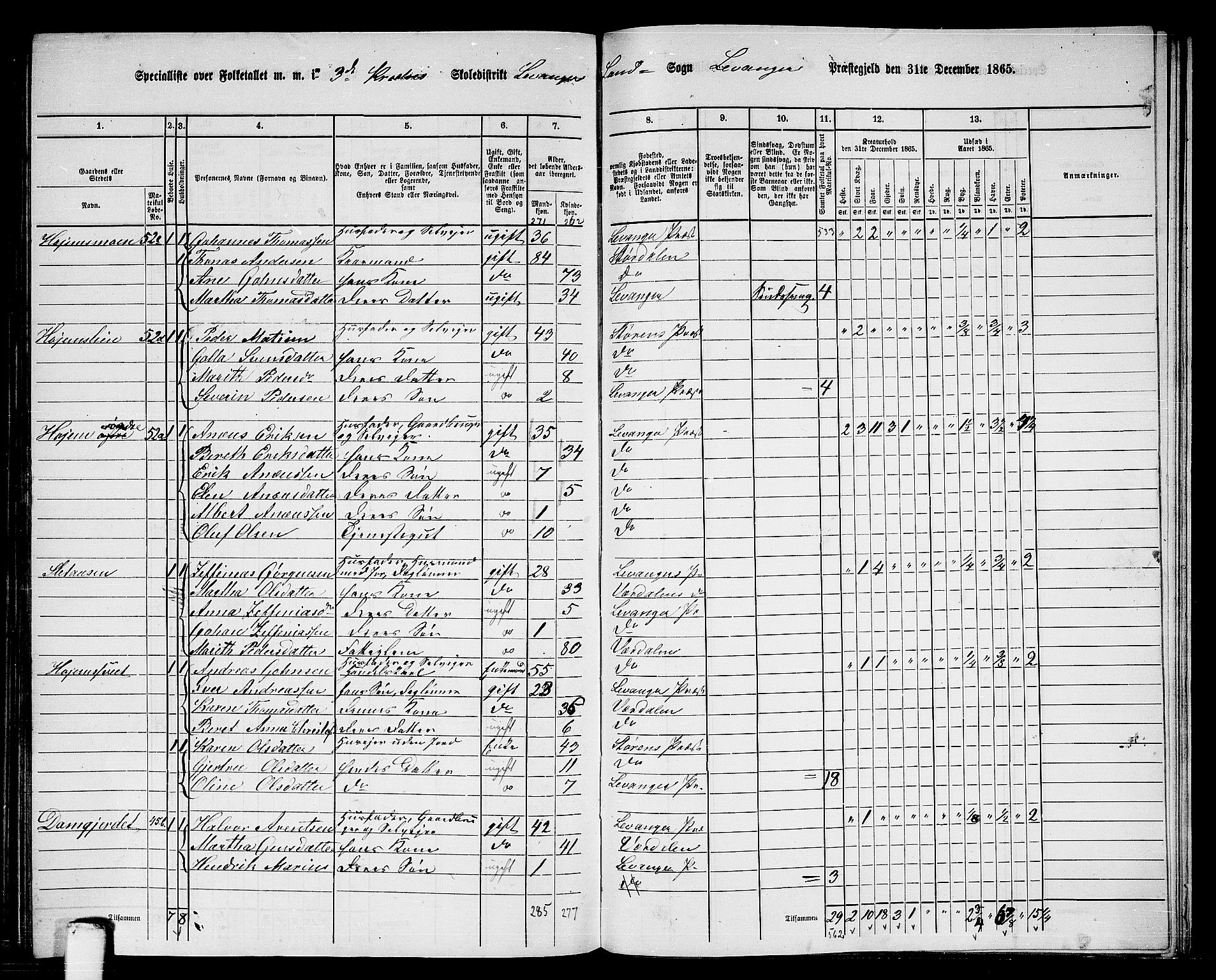 RA, 1865 census for Levanger/Levanger, 1865, p. 77