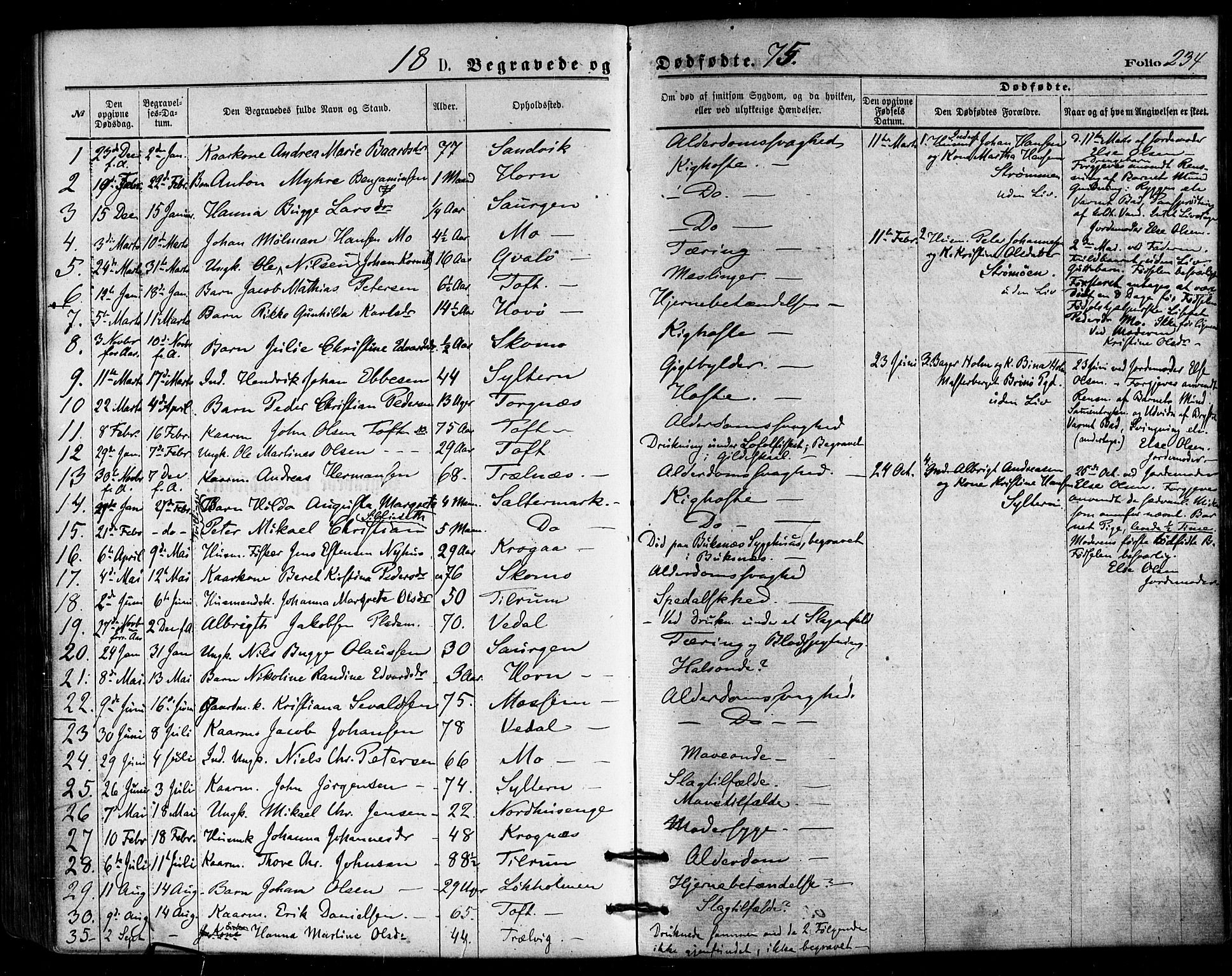 Ministerialprotokoller, klokkerbøker og fødselsregistre - Nordland, SAT/A-1459/813/L0199: Parish register (official) no. 813A09, 1875-1885, p. 234