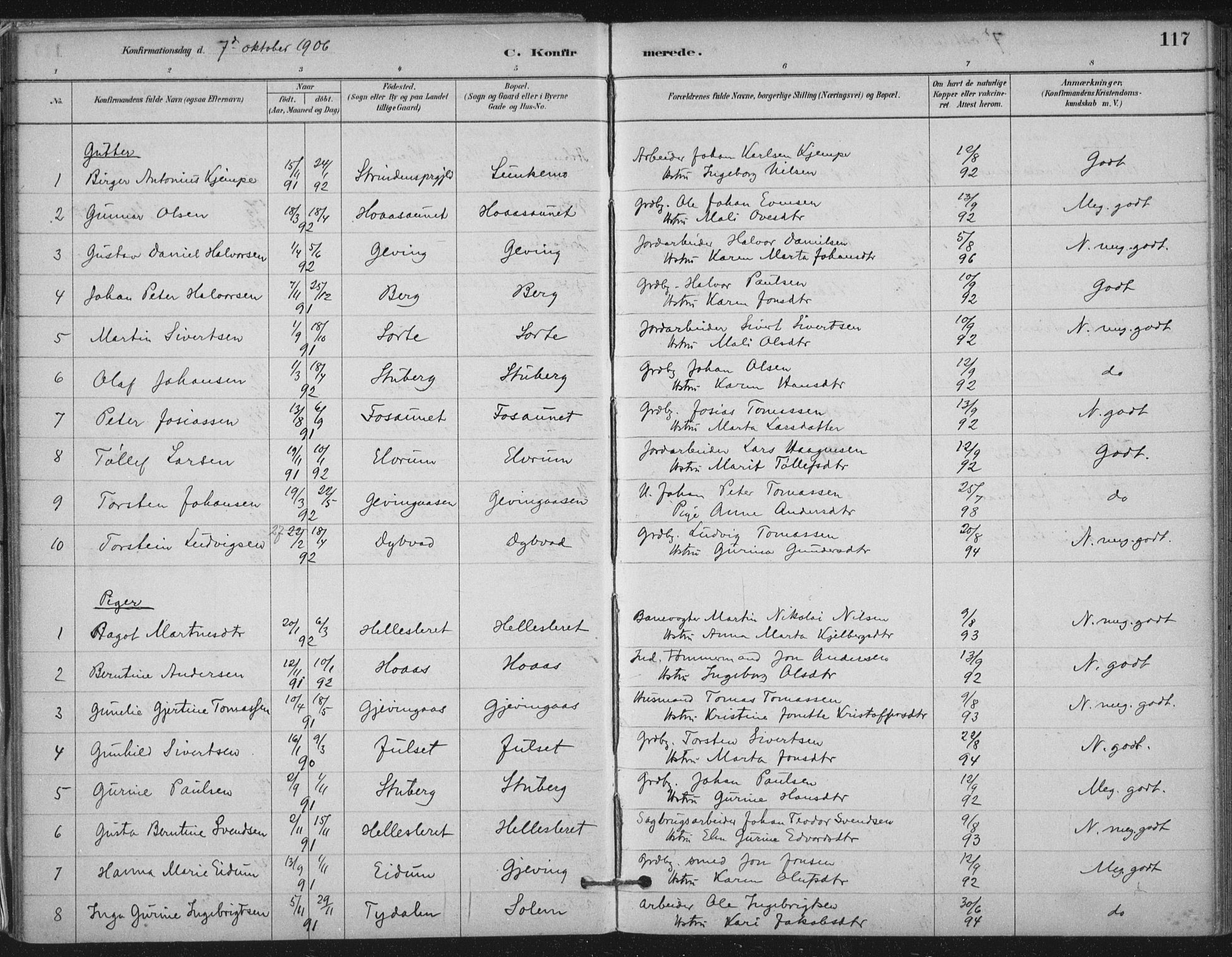 Ministerialprotokoller, klokkerbøker og fødselsregistre - Nord-Trøndelag, AV/SAT-A-1458/710/L0095: Parish register (official) no. 710A01, 1880-1914, p. 117