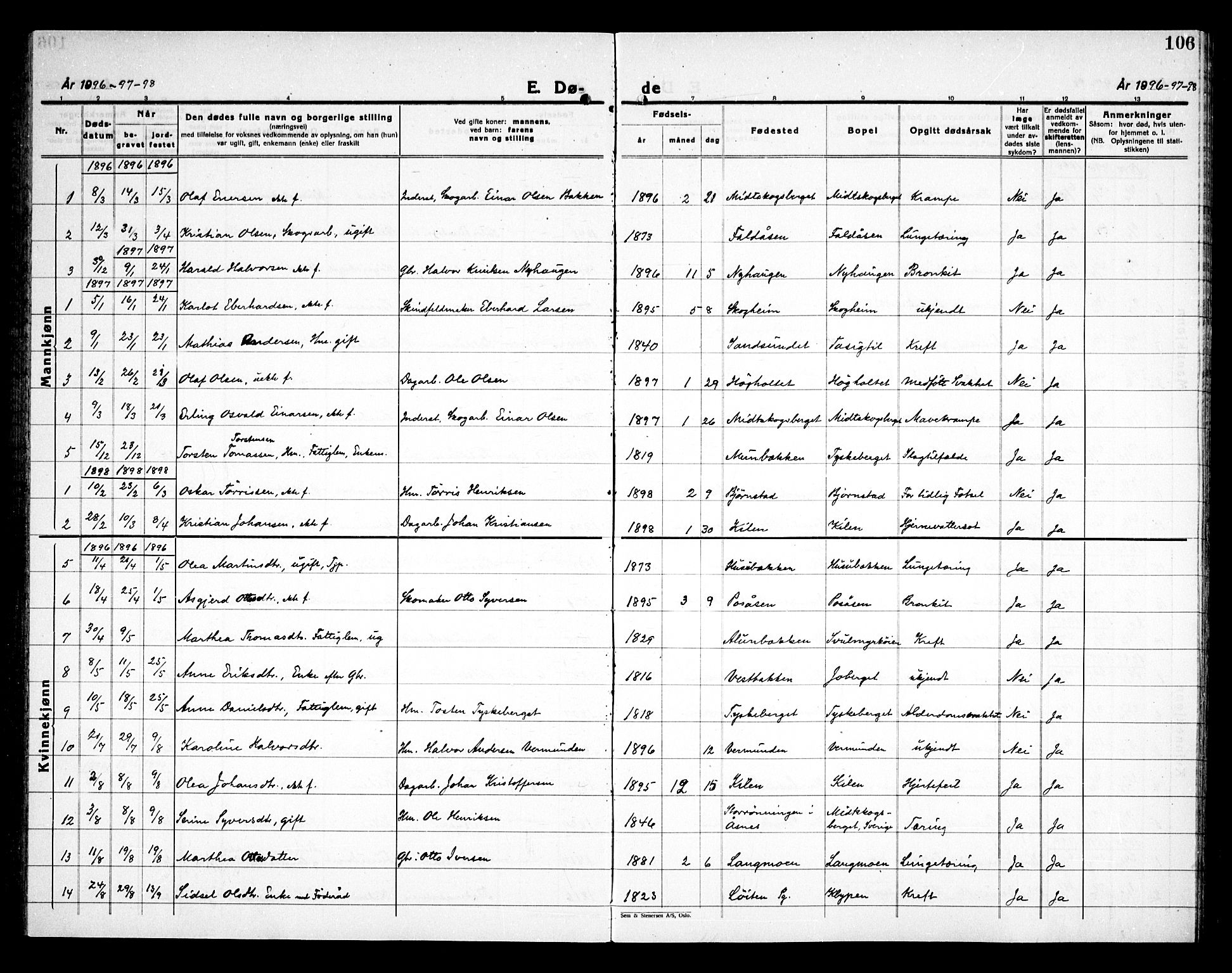 Åsnes prestekontor, AV/SAH-PREST-042/H/Ha/Haa/L0000E: Parish register (official) no. 0C, 1890-1929, p. 106