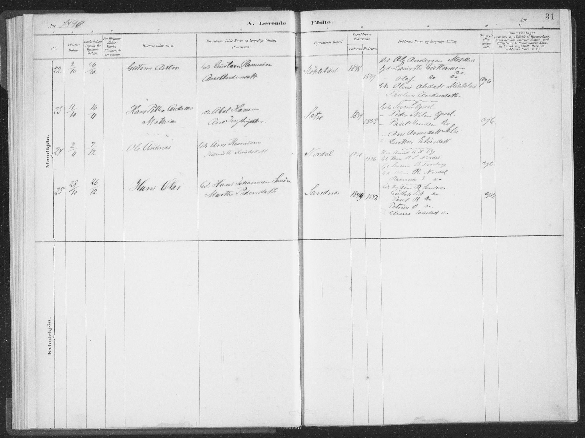 Ministerialprotokoller, klokkerbøker og fødselsregistre - Møre og Romsdal, AV/SAT-A-1454/502/L0025: Parish register (official) no. 502A03, 1885-1909, p. 31