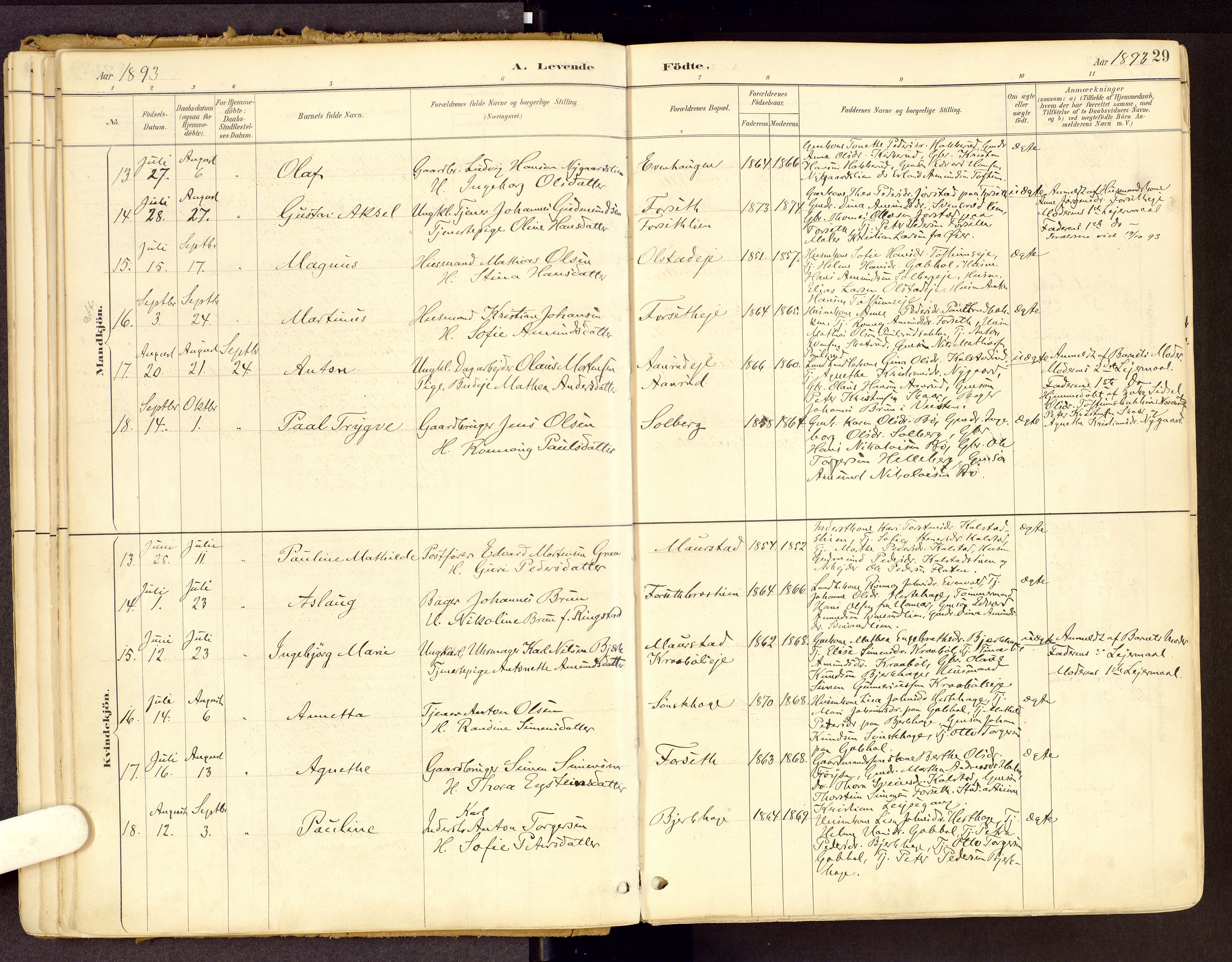 Vestre Gausdal prestekontor, AV/SAH-PREST-094/H/Ha/Haa/L0001: Parish register (official) no. 1, 1887-1914, p. 29