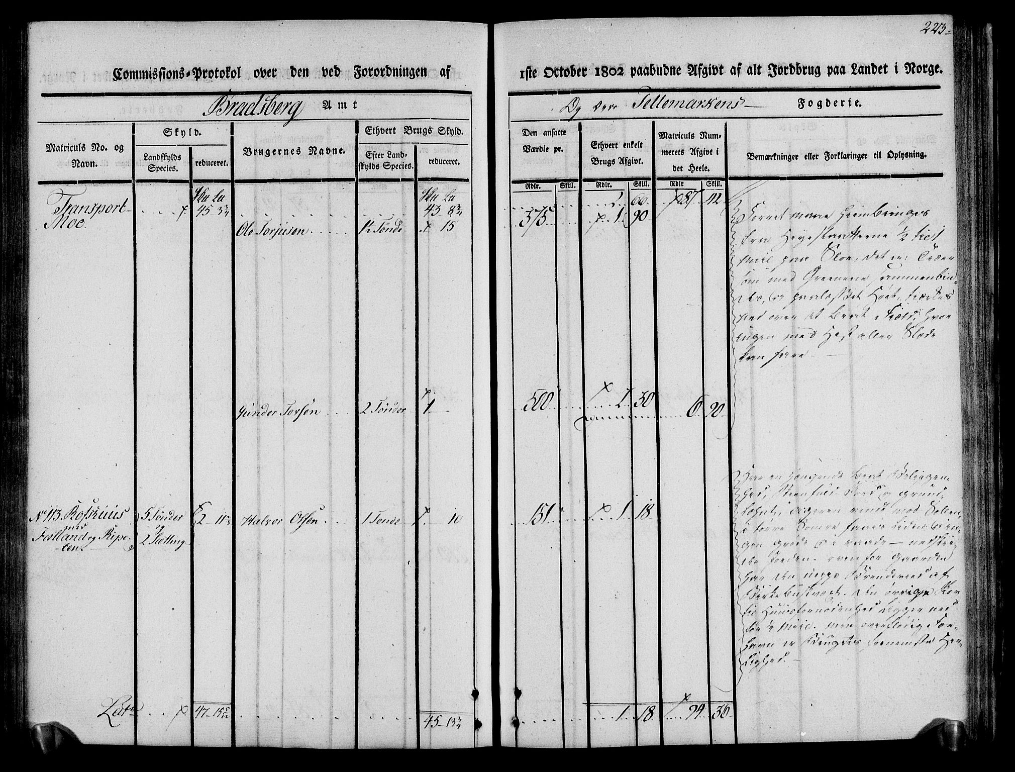 Rentekammeret inntil 1814, Realistisk ordnet avdeling, AV/RA-EA-4070/N/Ne/Nea/L0075: Øvre Telemarken fogderi. Kommisjonsprotokoll for fogderiets vestre del - Kviteseid, Vinje, Moland [):Fyresdal] og Lårdal prestegjeld., 1803, p. 225