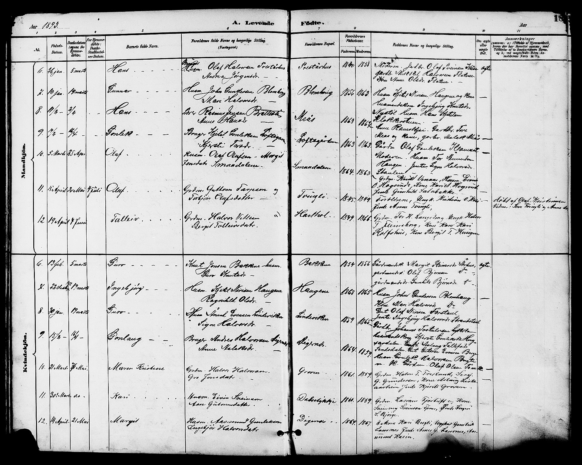 Seljord kirkebøker, SAKO/A-20/G/Ga/L0005: Parish register (copy) no. I 5, 1887-1914, p. 18