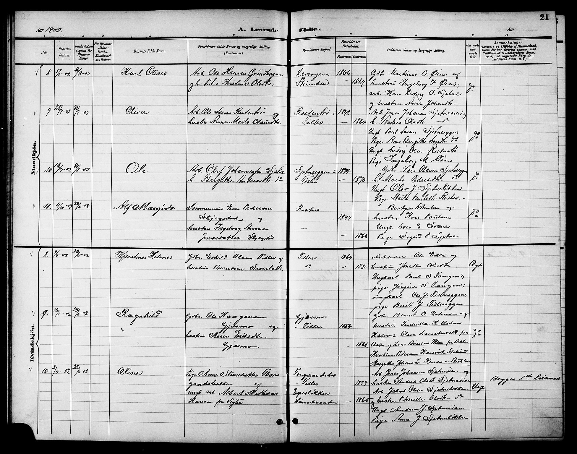 Ministerialprotokoller, klokkerbøker og fødselsregistre - Sør-Trøndelag, SAT/A-1456/621/L0460: Parish register (copy) no. 621C03, 1896-1914, p. 21
