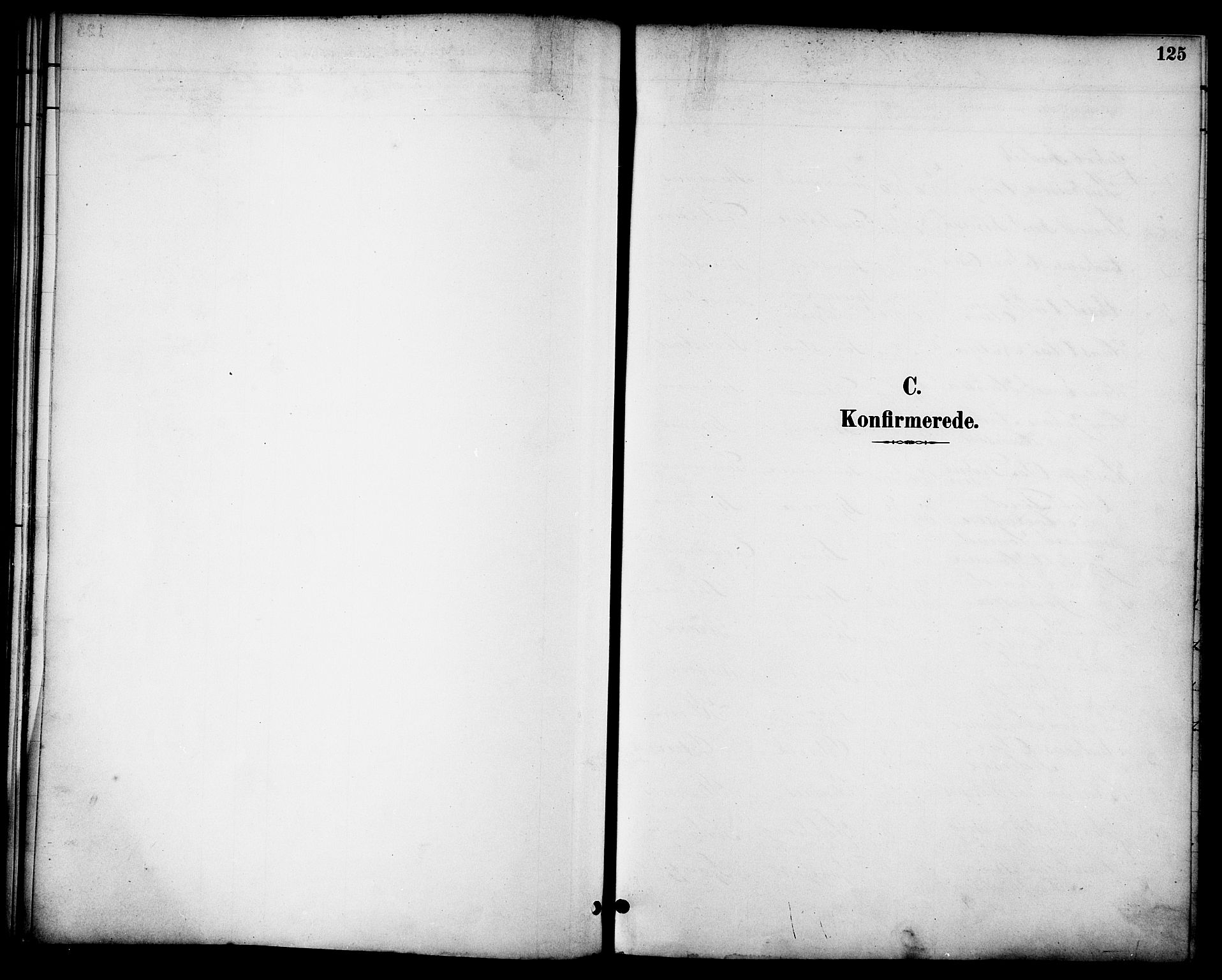 Ministerialprotokoller, klokkerbøker og fødselsregistre - Nordland, AV/SAT-A-1459/863/L0898: Parish register (official) no. 863A10, 1886-1897, p. 125