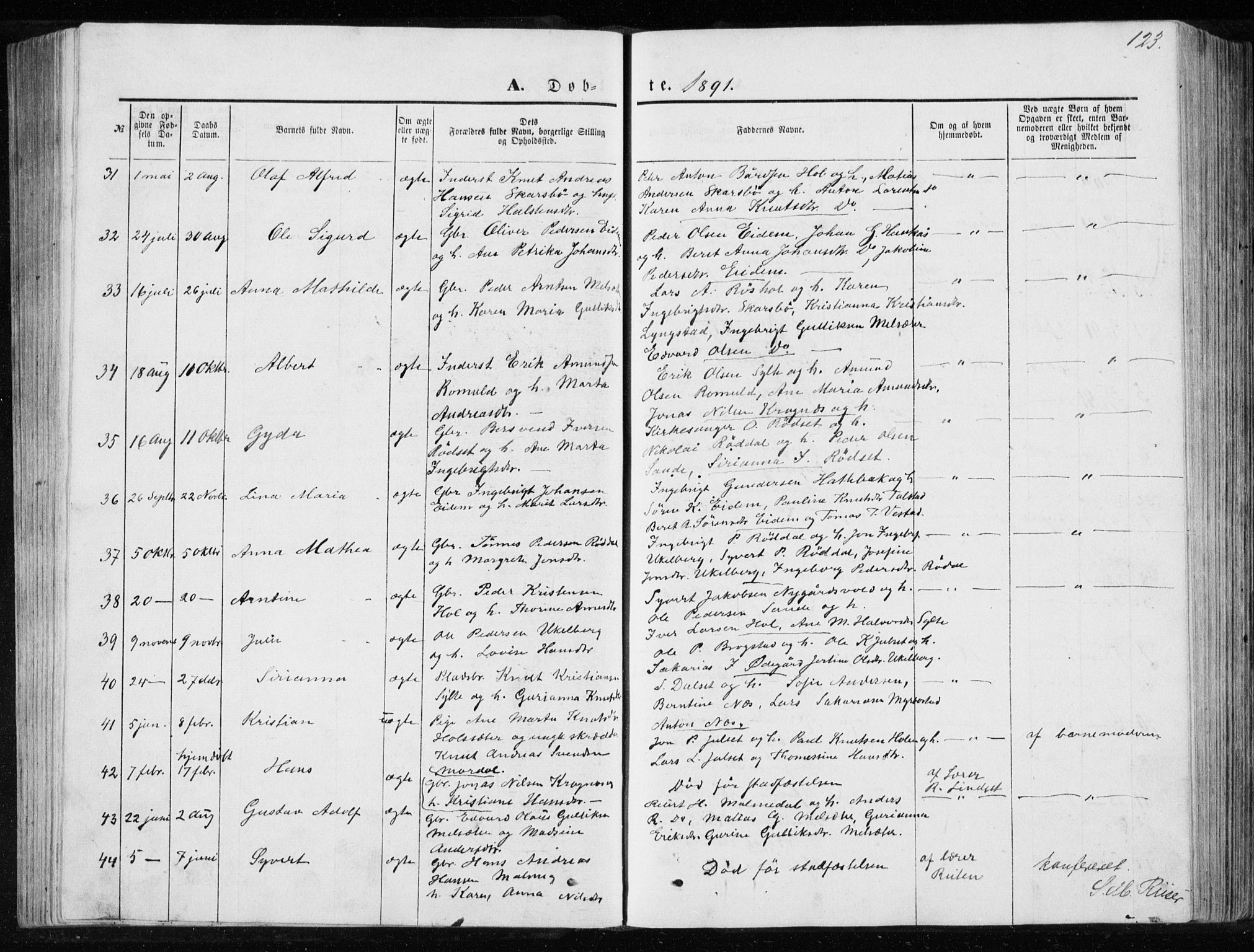 Ministerialprotokoller, klokkerbøker og fødselsregistre - Møre og Romsdal, SAT/A-1454/565/L0754: Parish register (copy) no. 565C03, 1870-1896, p. 123