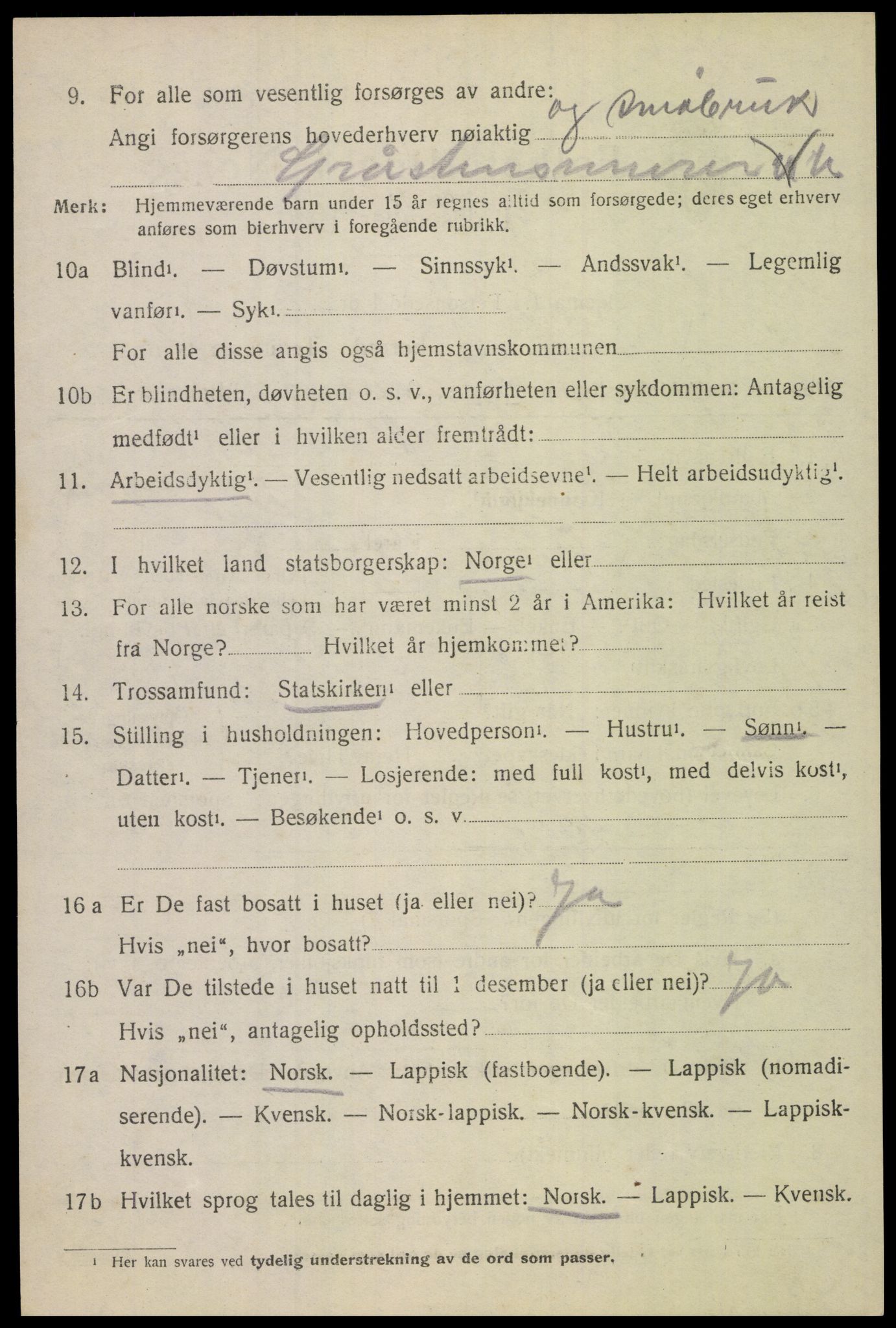 SAT, 1920 census for Bodin, 1920, p. 12275