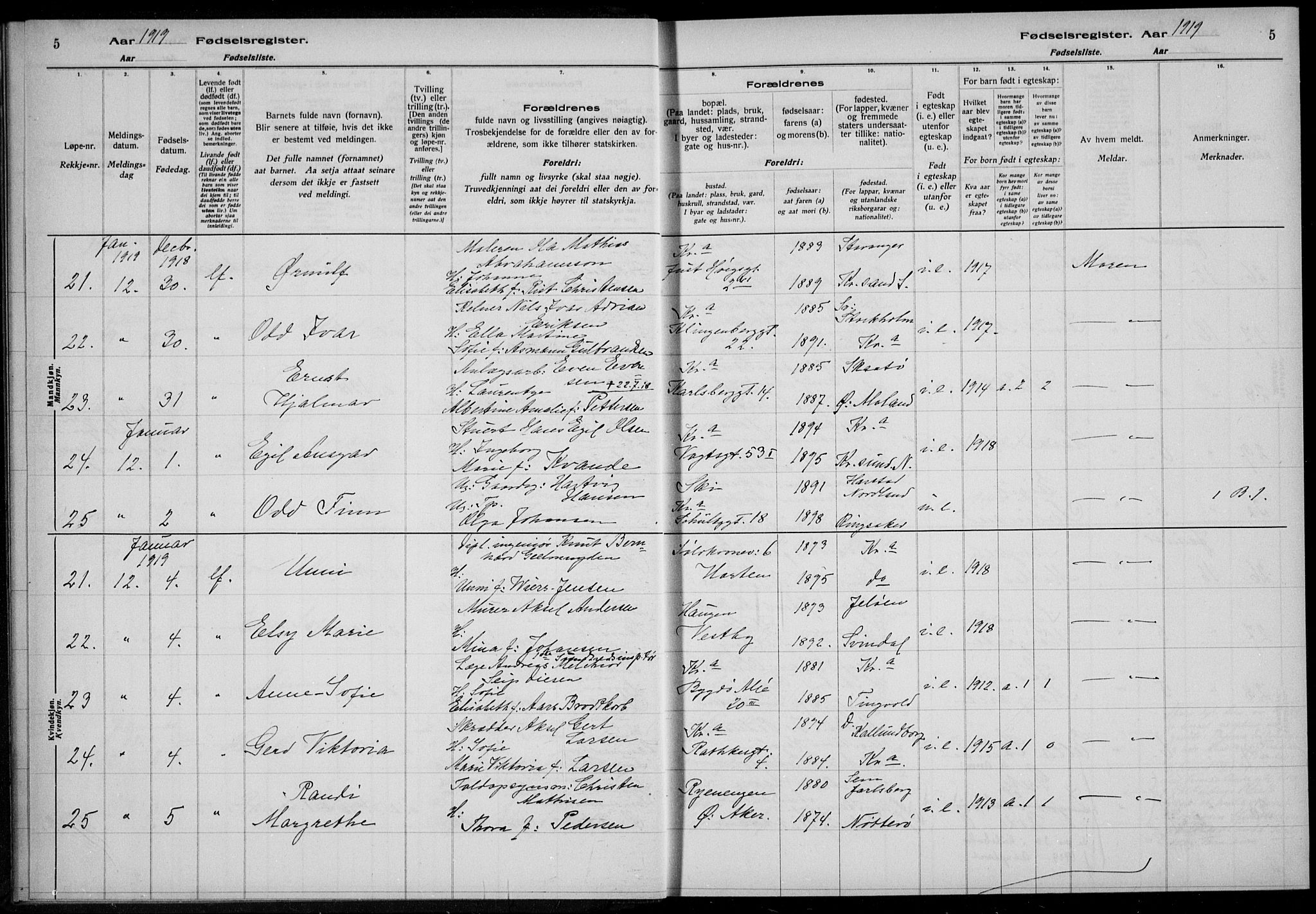 Rikshospitalet prestekontor Kirkebøker, AV/SAO-A-10309b/J/L0004: Birth register no. 4, 1919-1919, p. 5