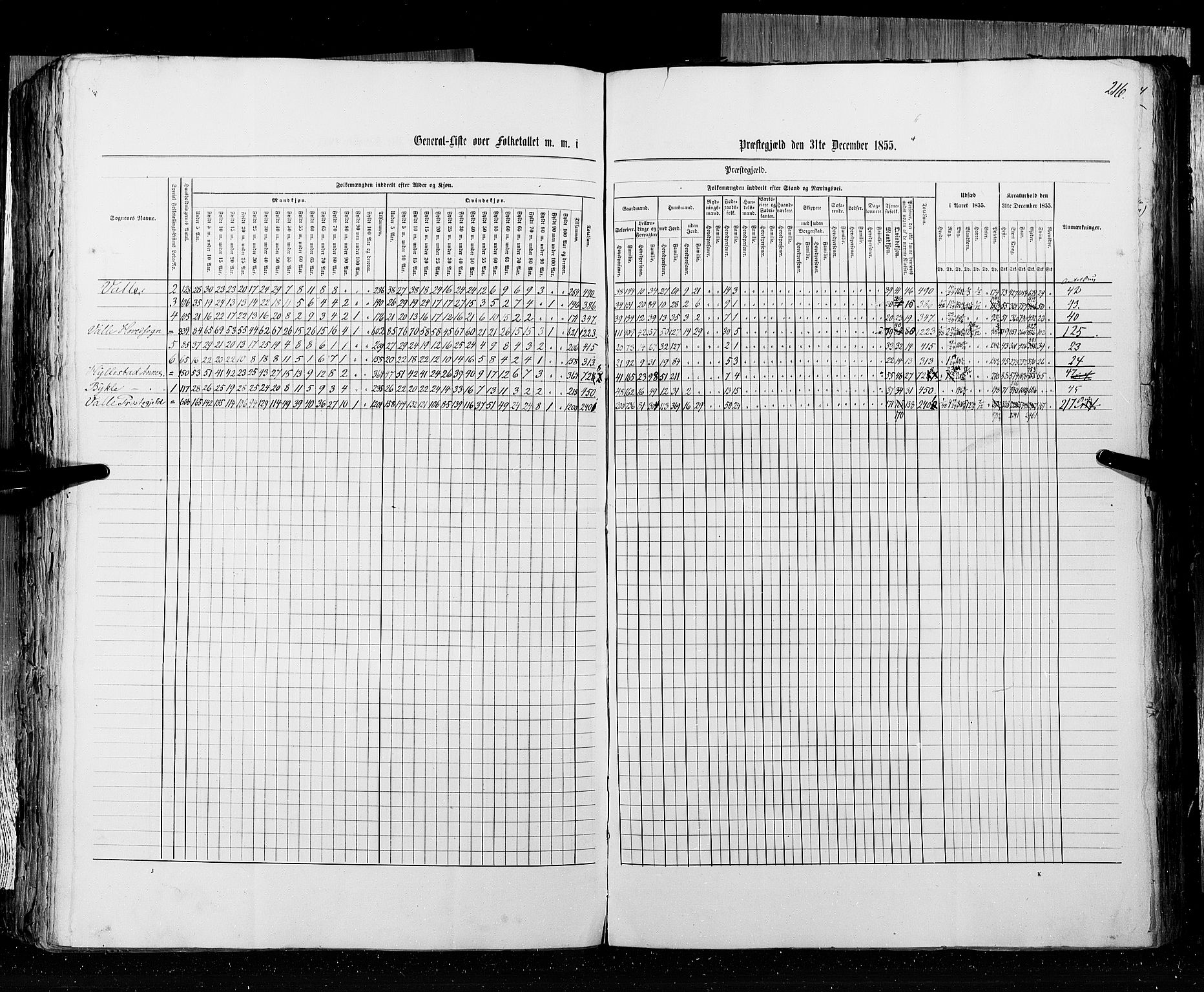 RA, Census 1855, vol. 3: Bratsberg amt, Nedenes amt og Lister og Mandal amt, 1855, p. 216