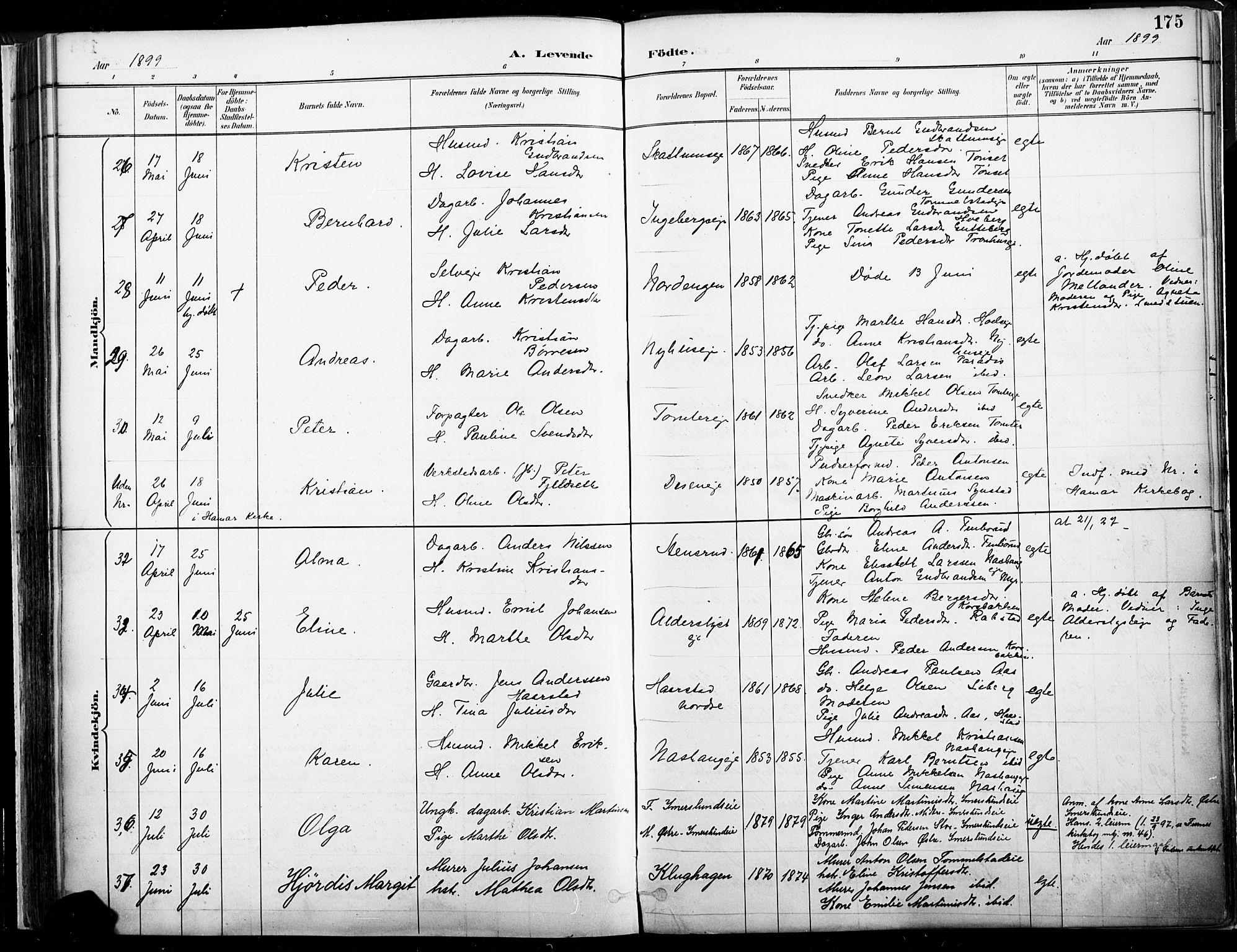 Vang prestekontor, Hedmark, SAH/PREST-008/H/Ha/Haa/L0019A: Parish register (official) no. 19, 1886-1900, p. 175