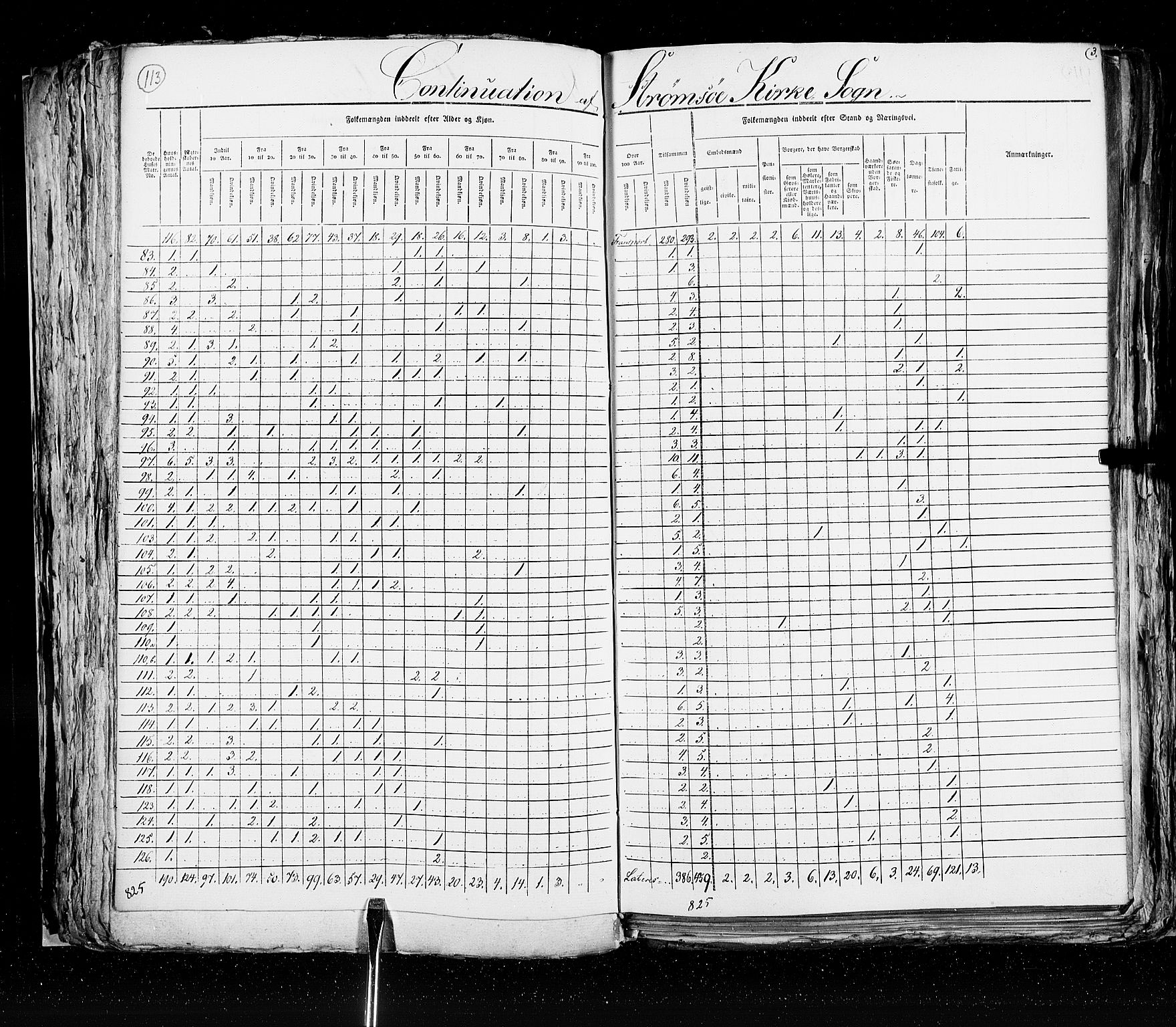 RA, Census 1825, vol. 20: Fredrikshald-Kragerø, 1825, p. 113