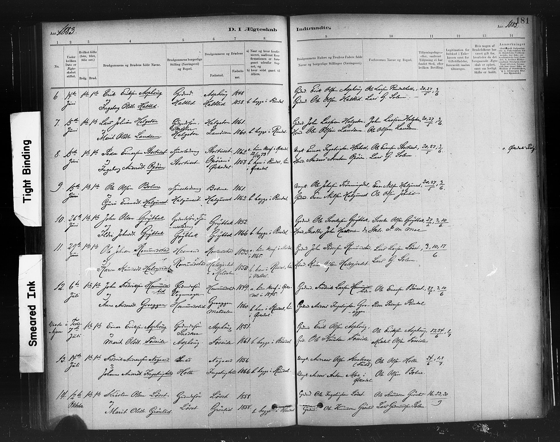 Ministerialprotokoller, klokkerbøker og fødselsregistre - Møre og Romsdal, AV/SAT-A-1454/598/L1069: Parish register (official) no. 598A03, 1882-1895, p. 181