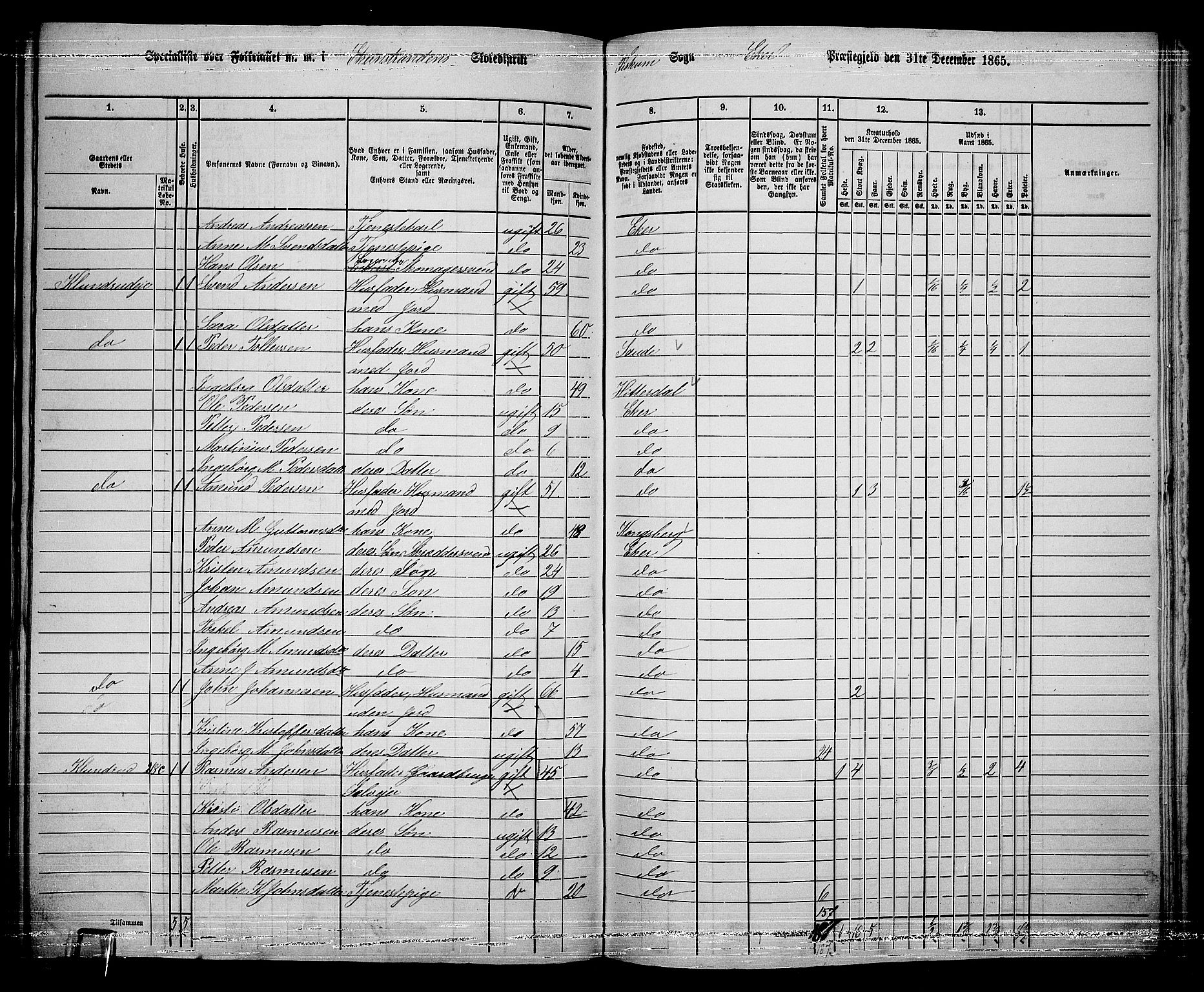 RA, 1865 census for Eiker, 1865, p. 494