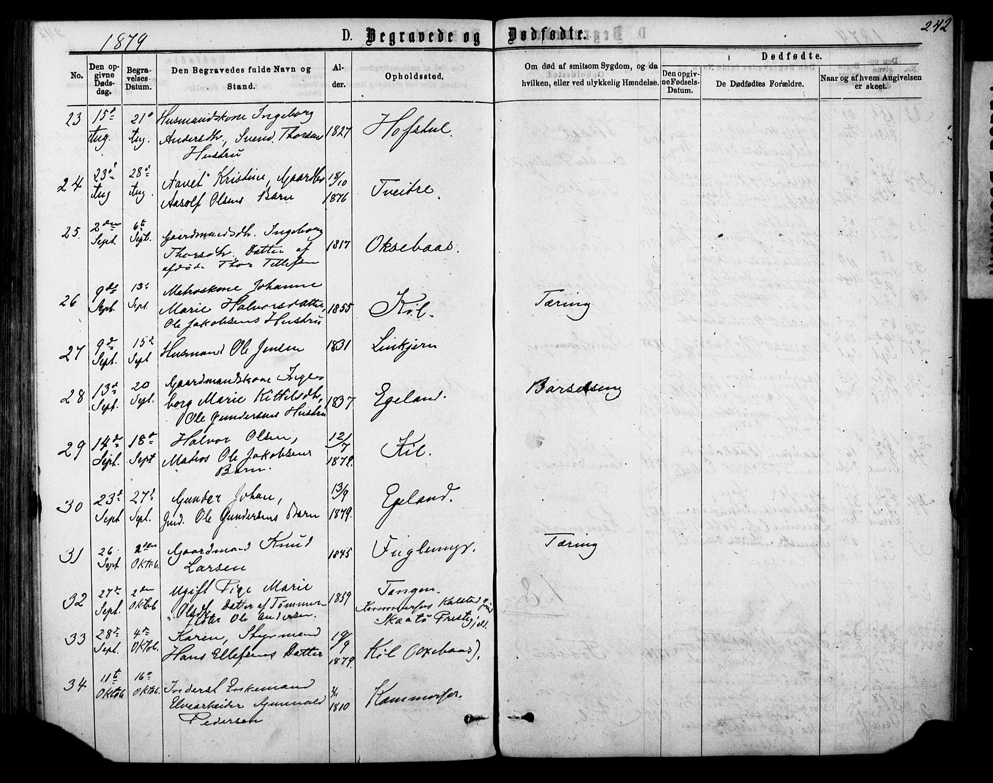 Sannidal kirkebøker, AV/SAKO-A-296/F/Fa/L0014: Parish register (official) no. 14, 1874-1883, p. 242