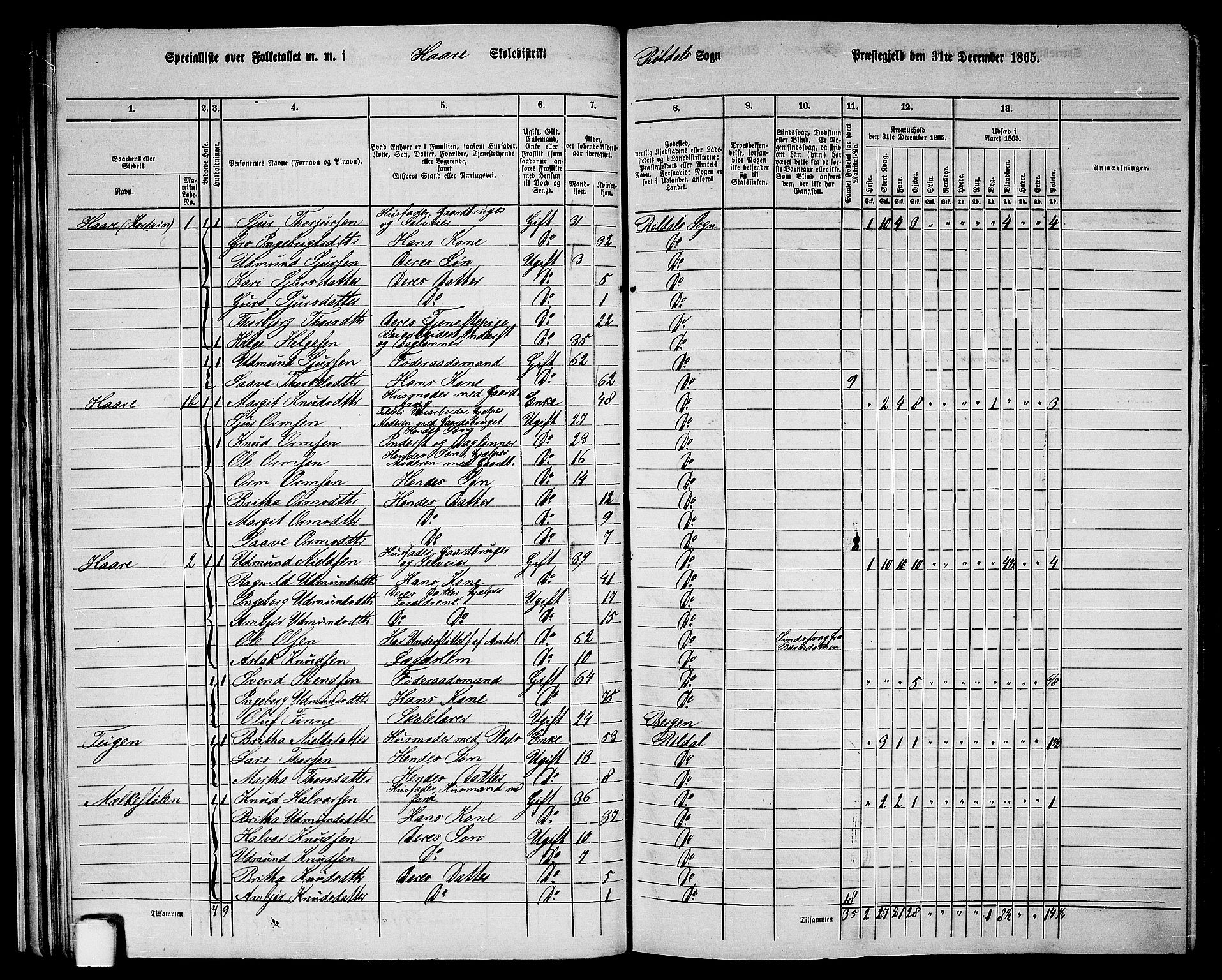 RA, 1865 census for Suldal, 1865, p. 160