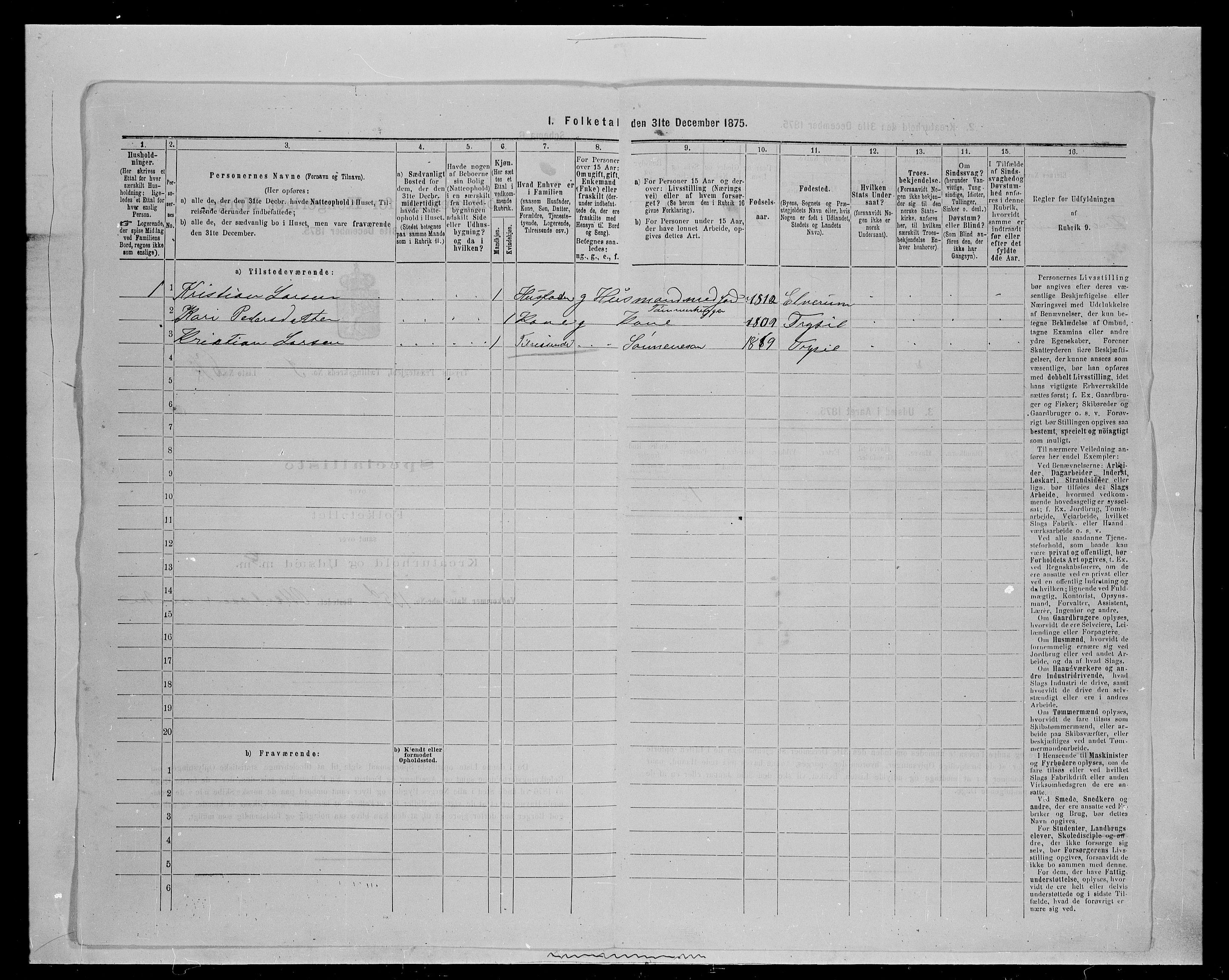 SAH, 1875 census for 0428P Trysil, 1875, p. 537