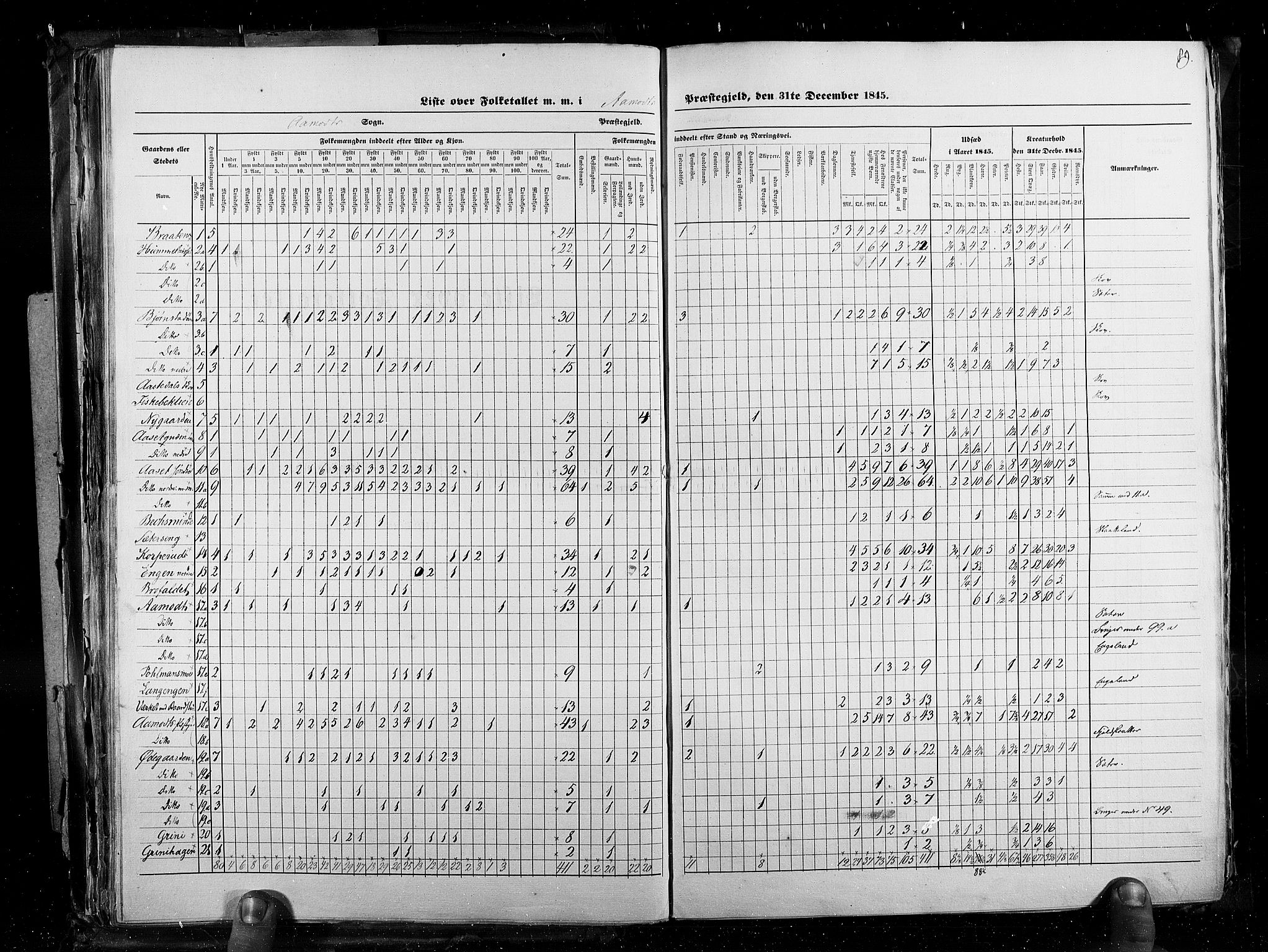 RA, Census 1845, vol. 3: Hedemarken amt og Kristians amt, 1845, p. 89