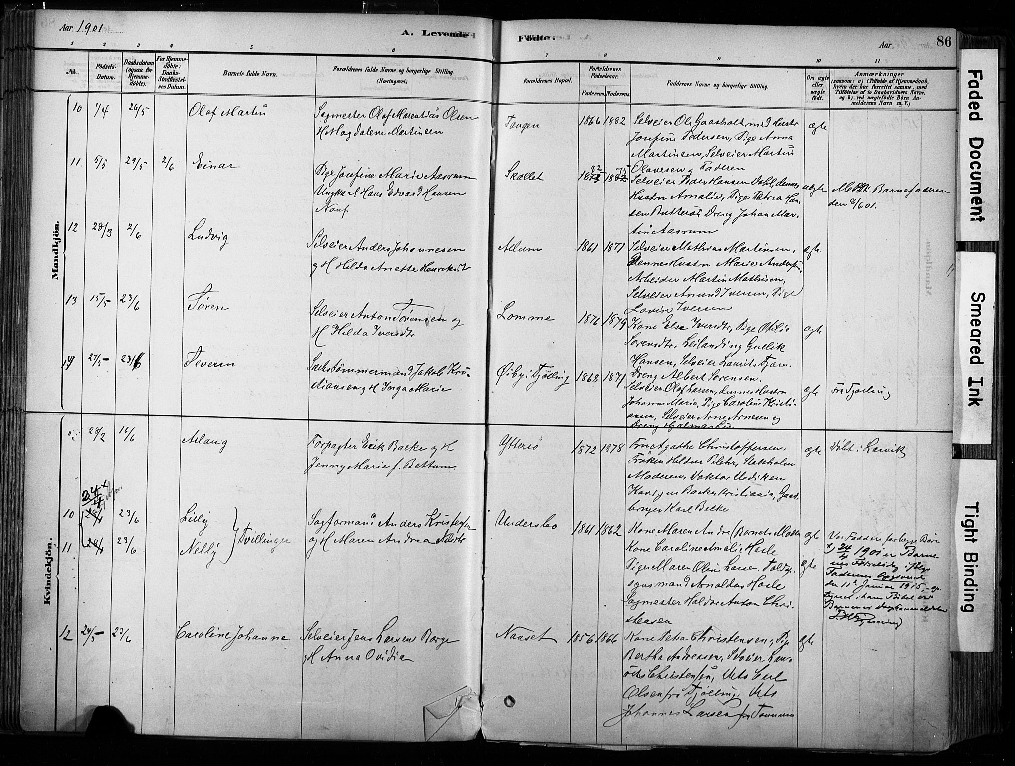 Hedrum kirkebøker, AV/SAKO-A-344/F/Fa/L0009: Parish register (official) no. I 9, 1881-1903, p. 86