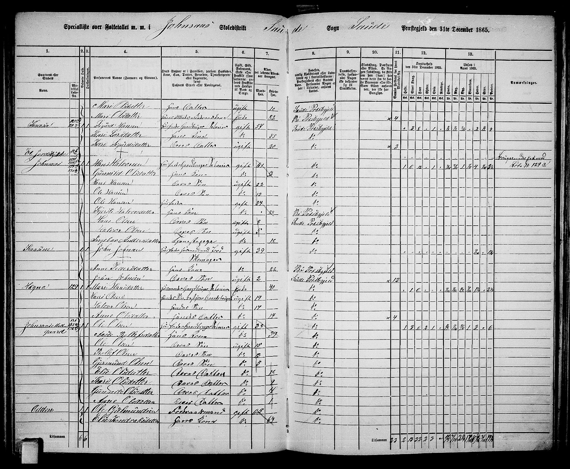 RA, 1865 census for Sauherad, 1865, p. 105