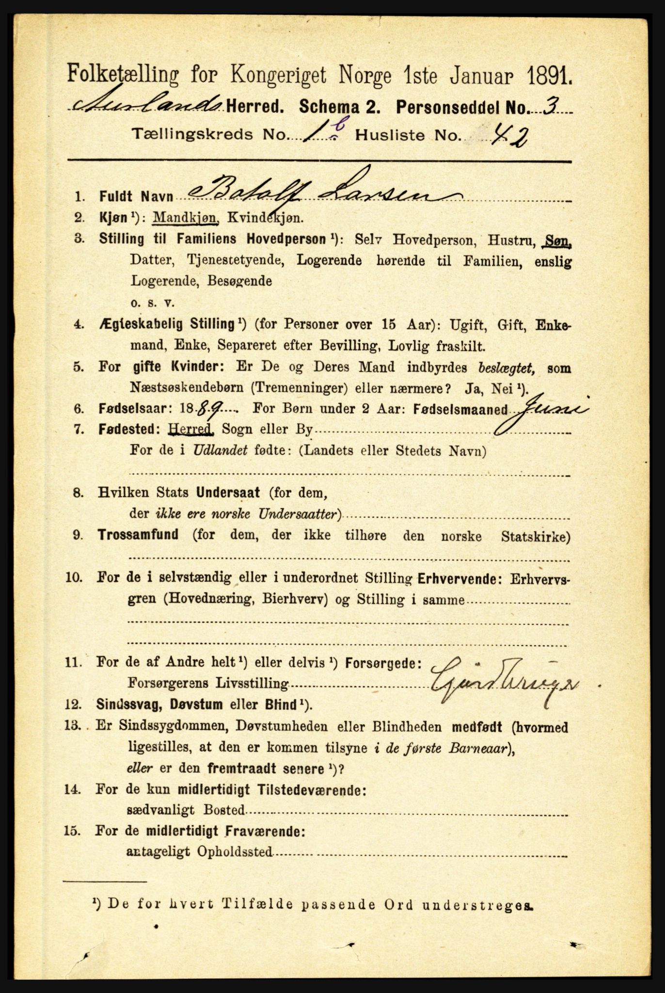 RA, 1891 census for 1421 Aurland, 1891, p. 410