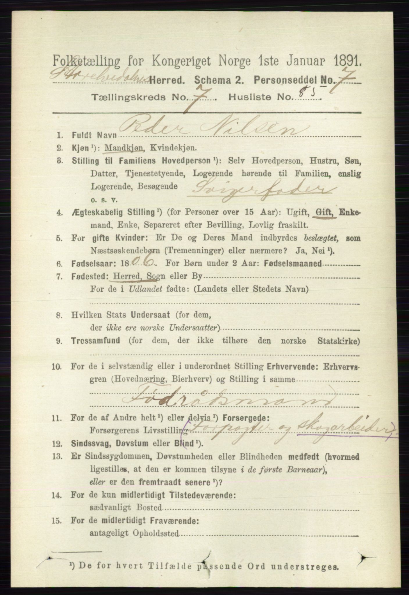 RA, 1891 census for 0430 Stor-Elvdal, 1891, p. 3325