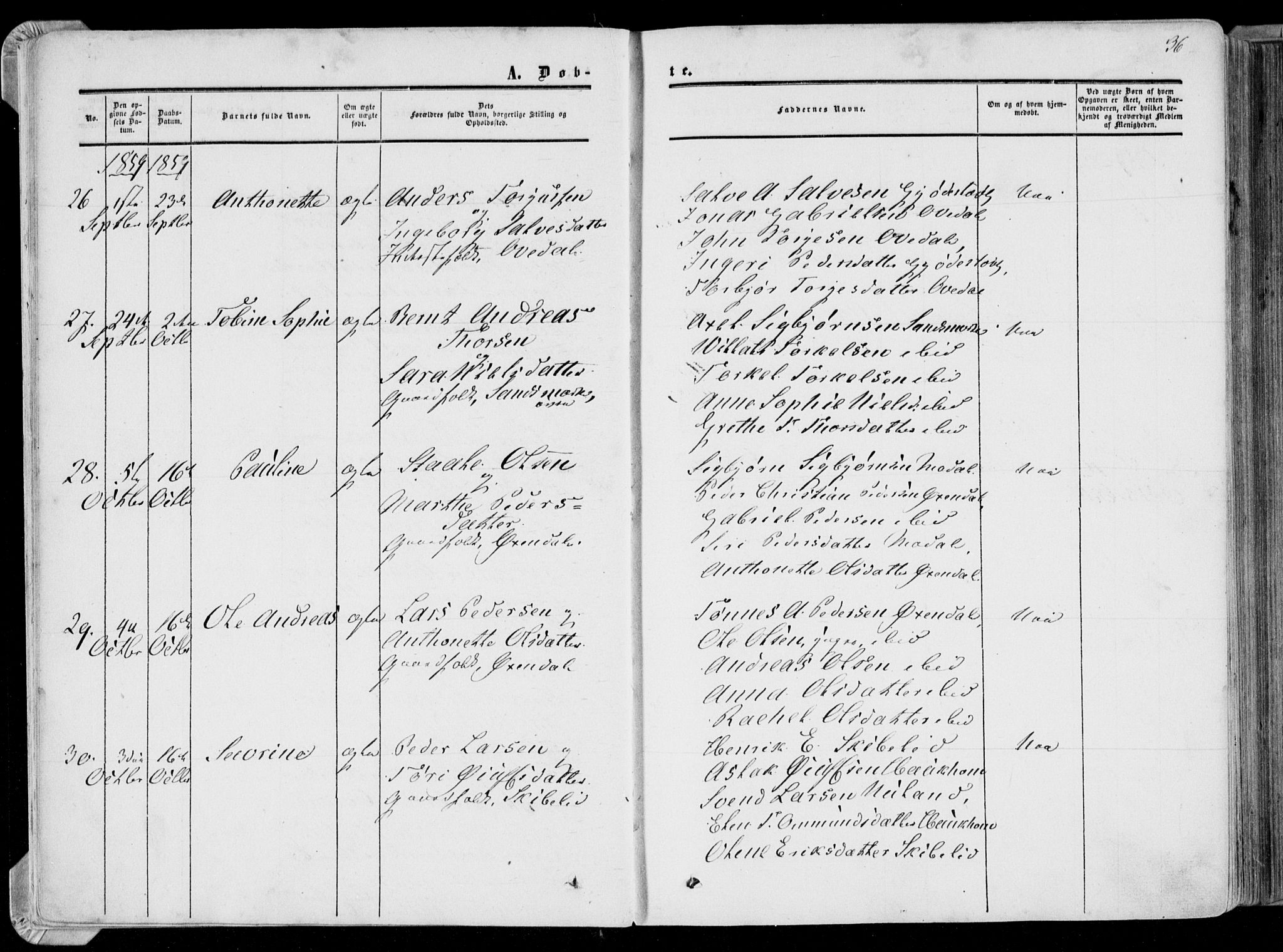 Bakke sokneprestkontor, AV/SAK-1111-0002/F/Fa/Faa/L0006: Parish register (official) no. A 6, 1855-1877, p. 36