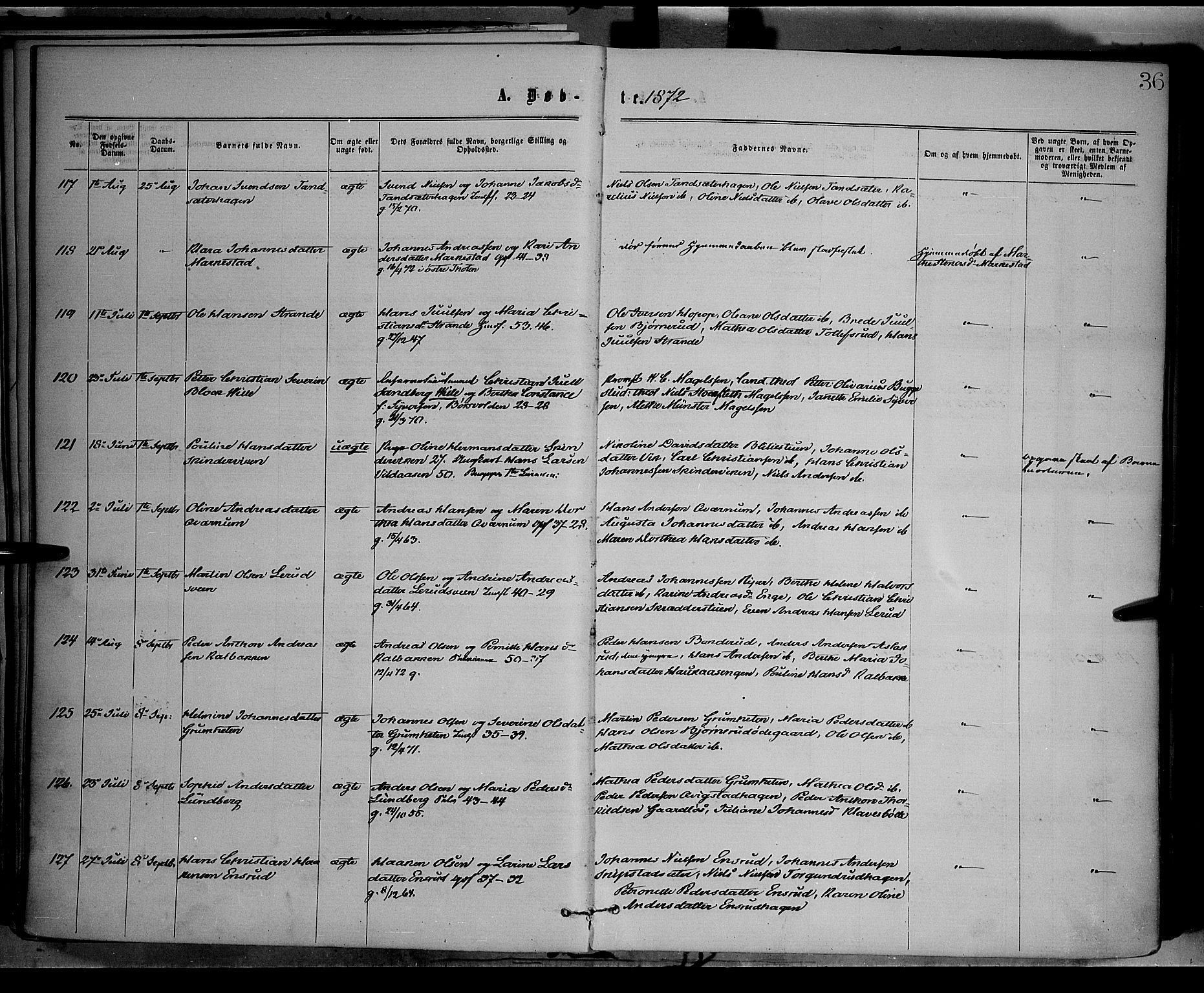 Vestre Toten prestekontor, SAH/PREST-108/H/Ha/Haa/L0008: Parish register (official) no. 8, 1870-1877, p. 36