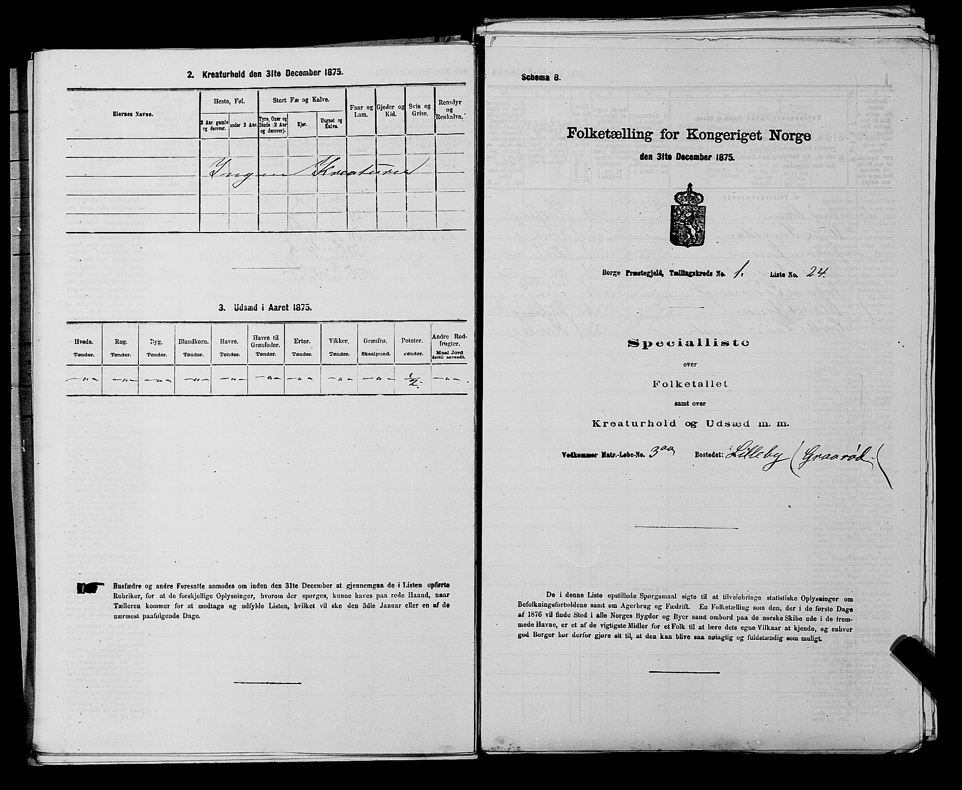 RA, 1875 census for 0113P Borge, 1875, p. 77