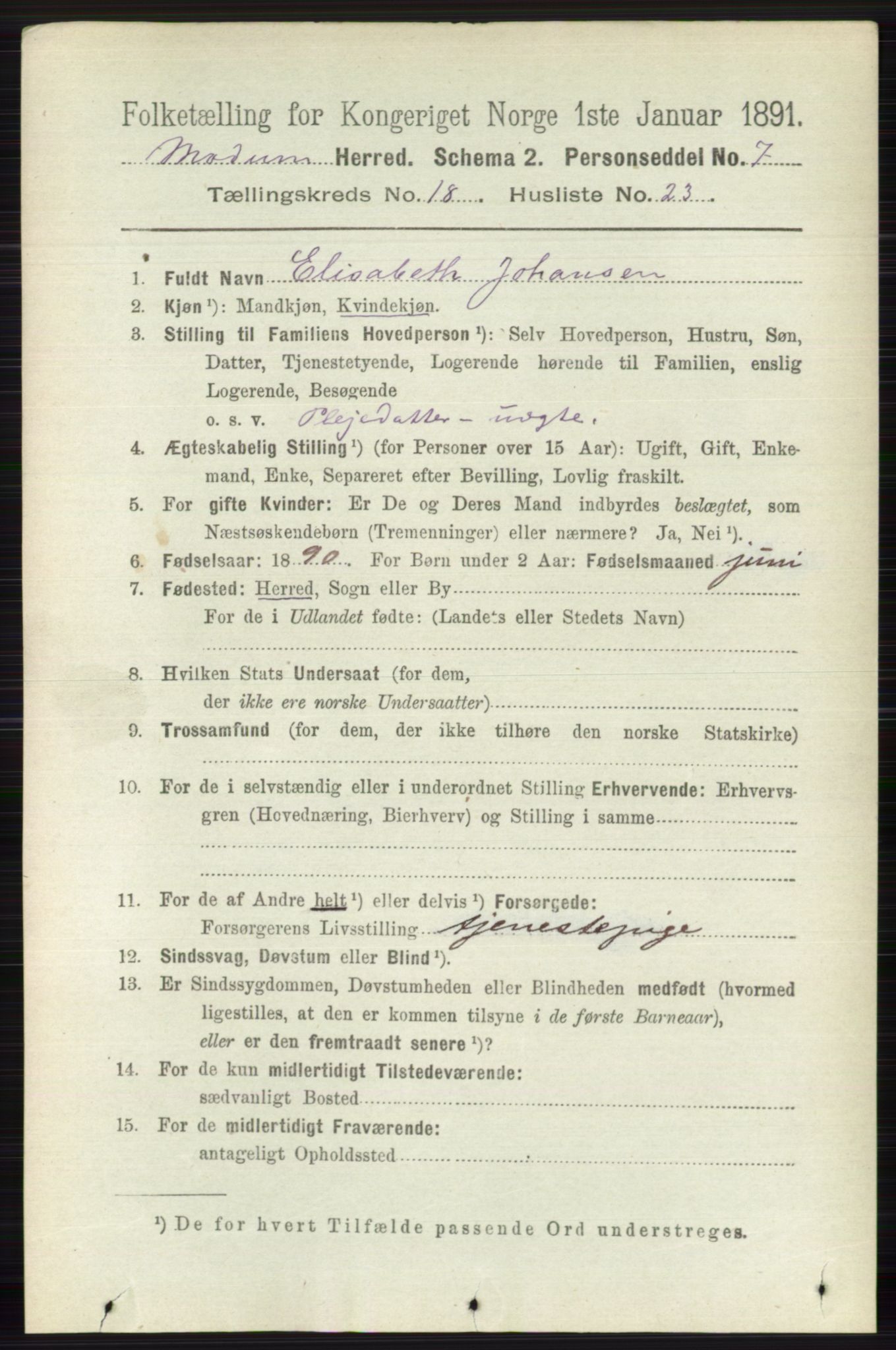 RA, 1891 census for 0623 Modum, 1891, p. 7356