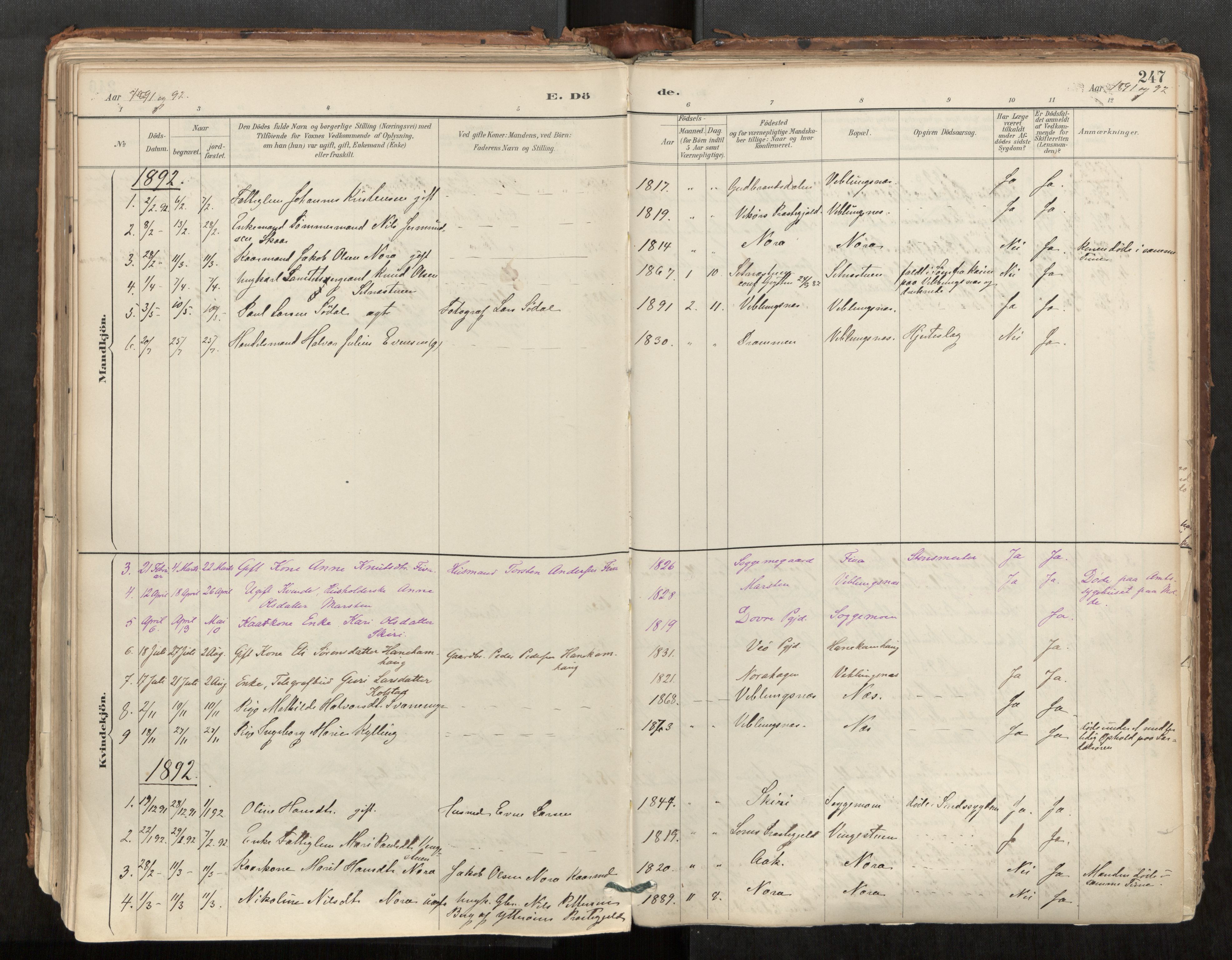 Ministerialprotokoller, klokkerbøker og fødselsregistre - Møre og Romsdal, SAT/A-1454/544/L0585: Parish register (official) no. 544A06, 1887-1924, p. 247