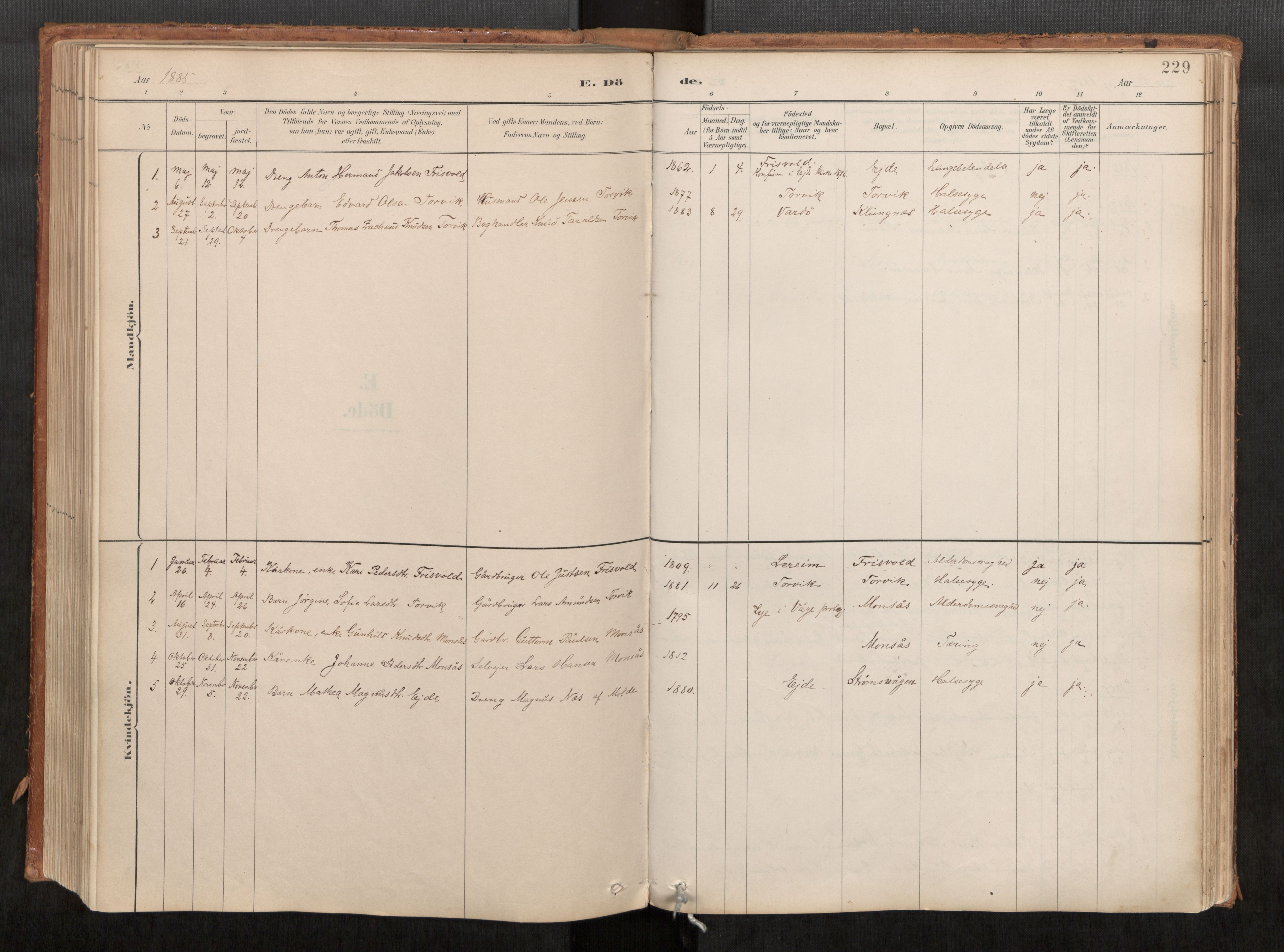 Ministerialprotokoller, klokkerbøker og fødselsregistre - Møre og Romsdal, AV/SAT-A-1454/542/L0553: Parish register (official) no. 542A03, 1885-1925, p. 229