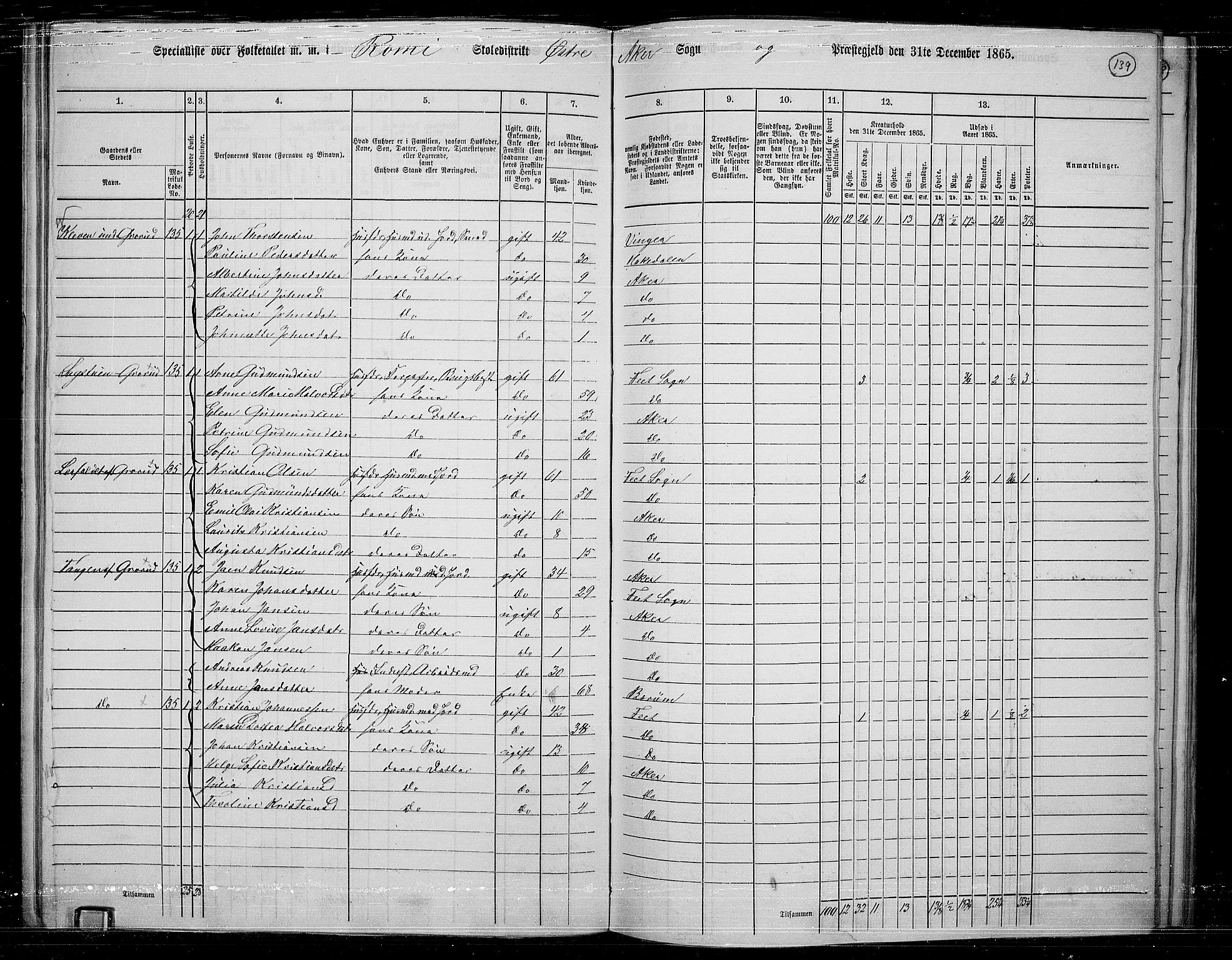 RA, 1865 census for Østre Aker, 1865, p. 132