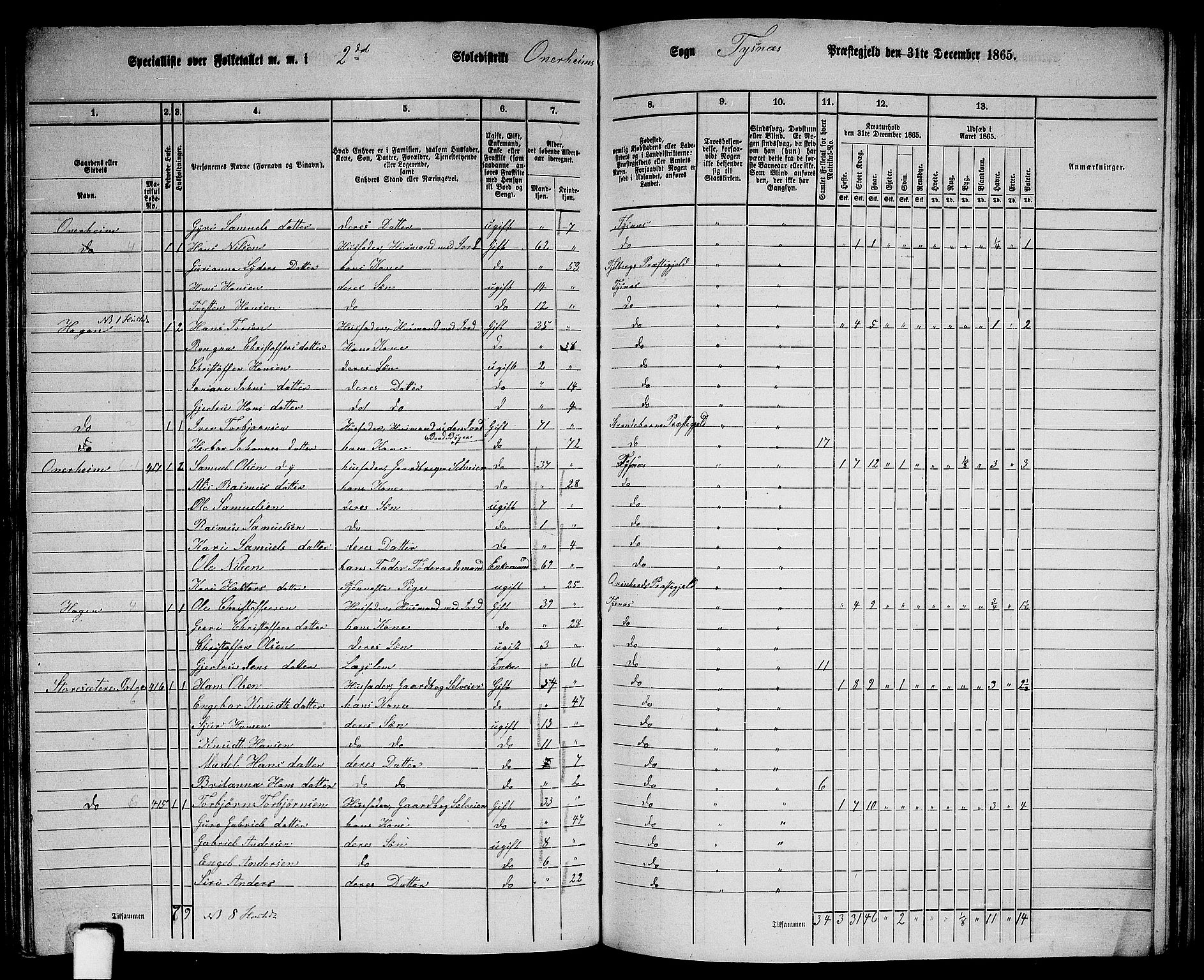 RA, 1865 census for Tysnes, 1865, p. 162