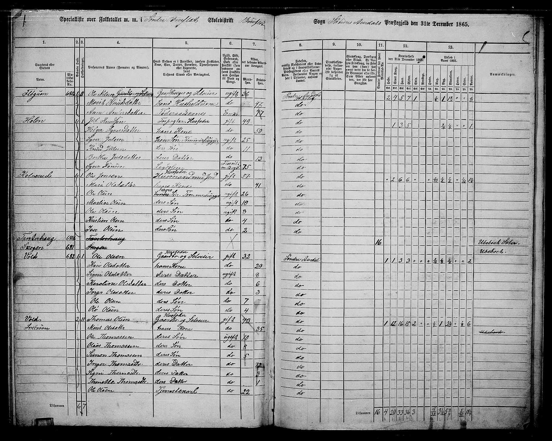 RA, 1865 census for Sør-Aurdal, 1865, p. 236