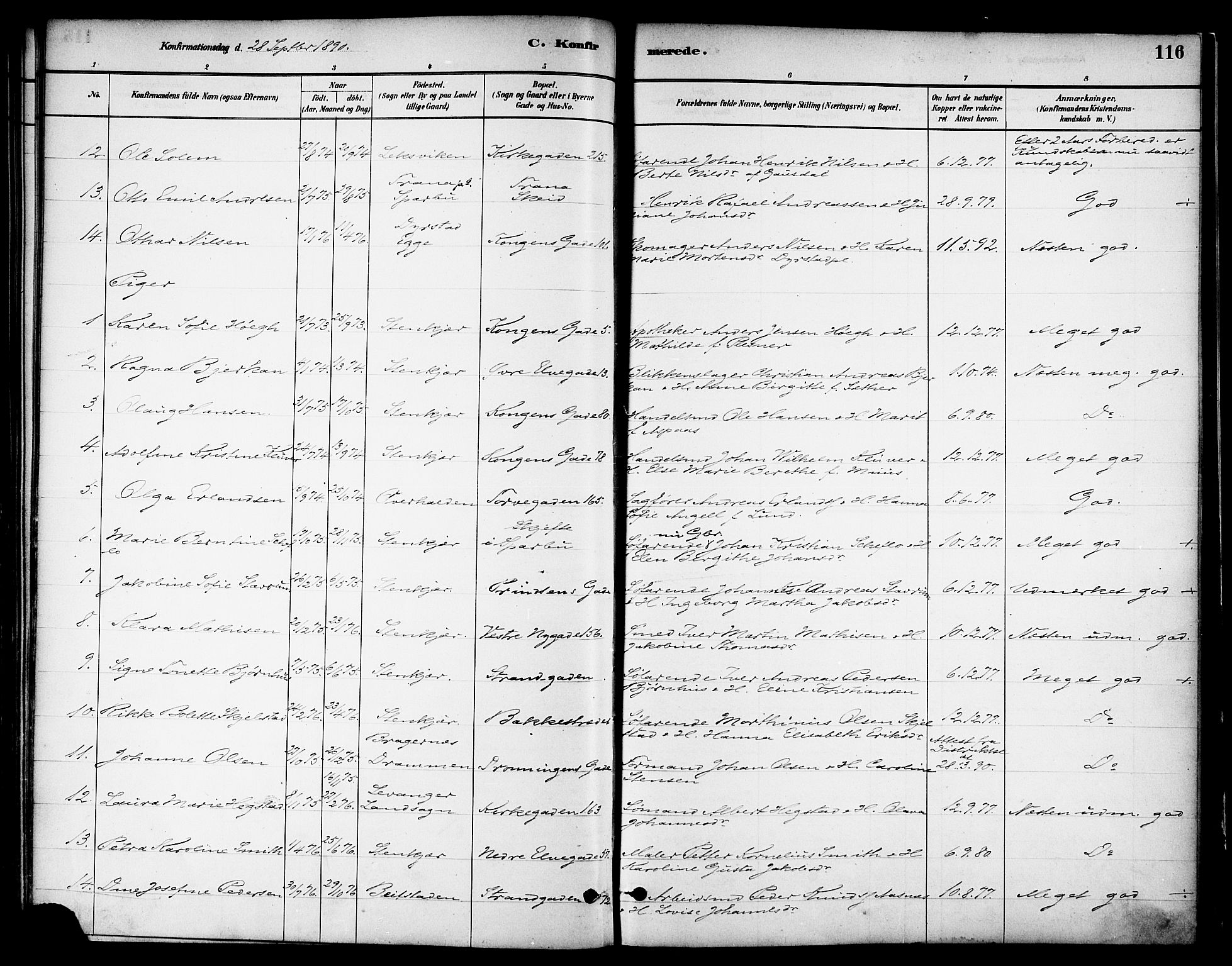 Ministerialprotokoller, klokkerbøker og fødselsregistre - Nord-Trøndelag, AV/SAT-A-1458/739/L0371: Parish register (official) no. 739A03, 1881-1895, p. 116