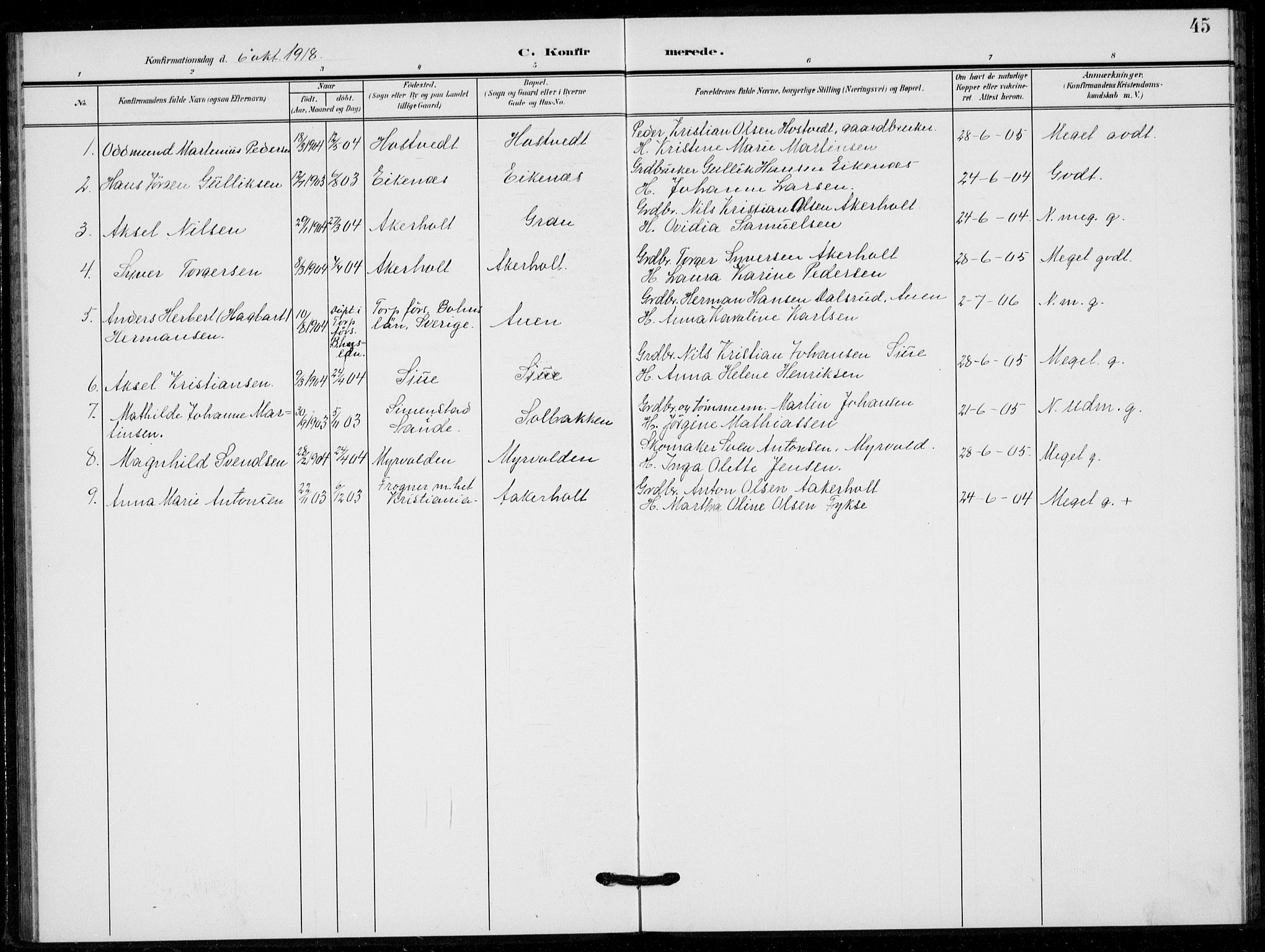 Hof kirkebøker, AV/SAKO-A-64/G/Gb/L0003: Parish register (copy) no. II 3, 1902-1917, p. 45