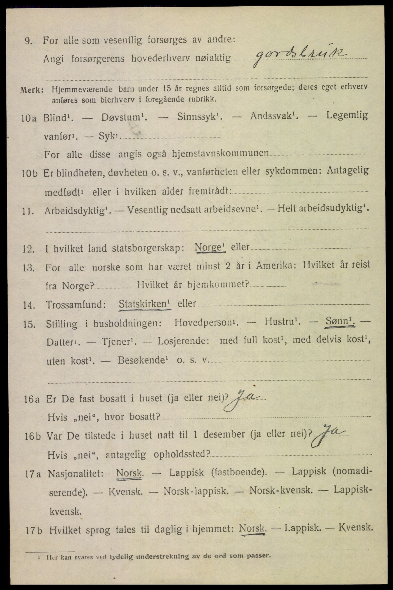 SAT, 1920 census for Bodin, 1920, p. 8441