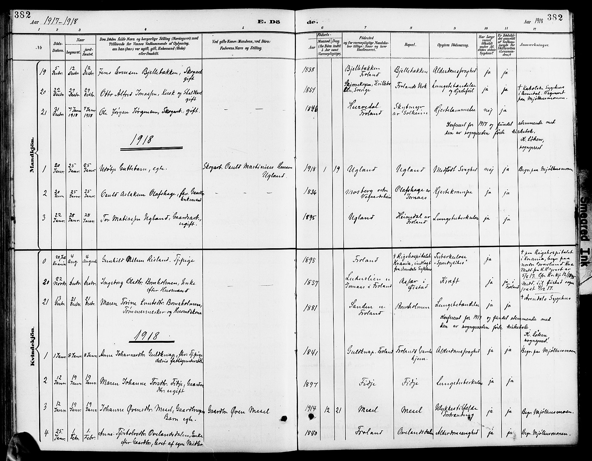 Froland sokneprestkontor, AV/SAK-1111-0013/F/Fb/L0010: Parish register (copy) no. B 10, 1893-1920, p. 382