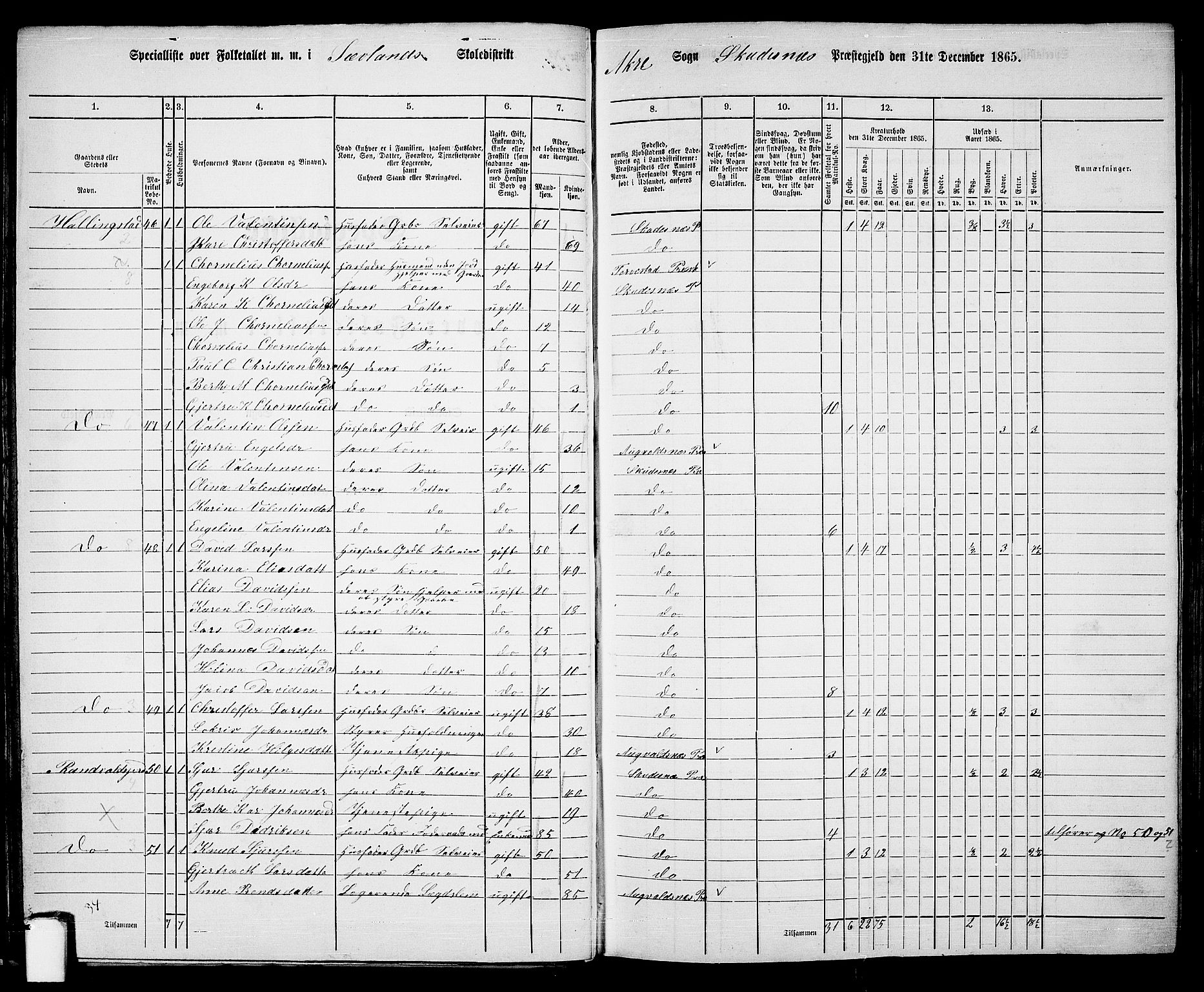 RA, 1865 census for Skudenes, 1865, p. 33