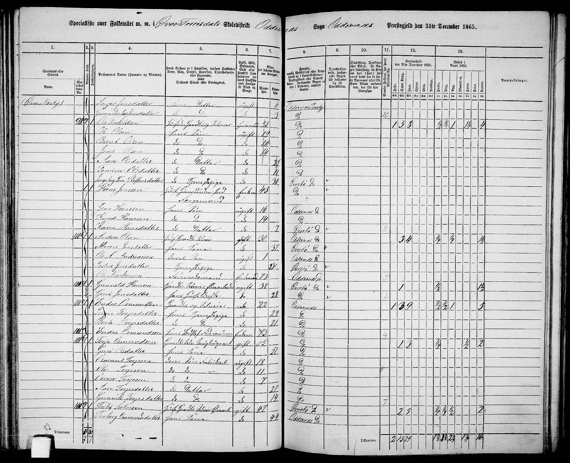 RA, 1865 census for Oddernes, 1865, p. 67