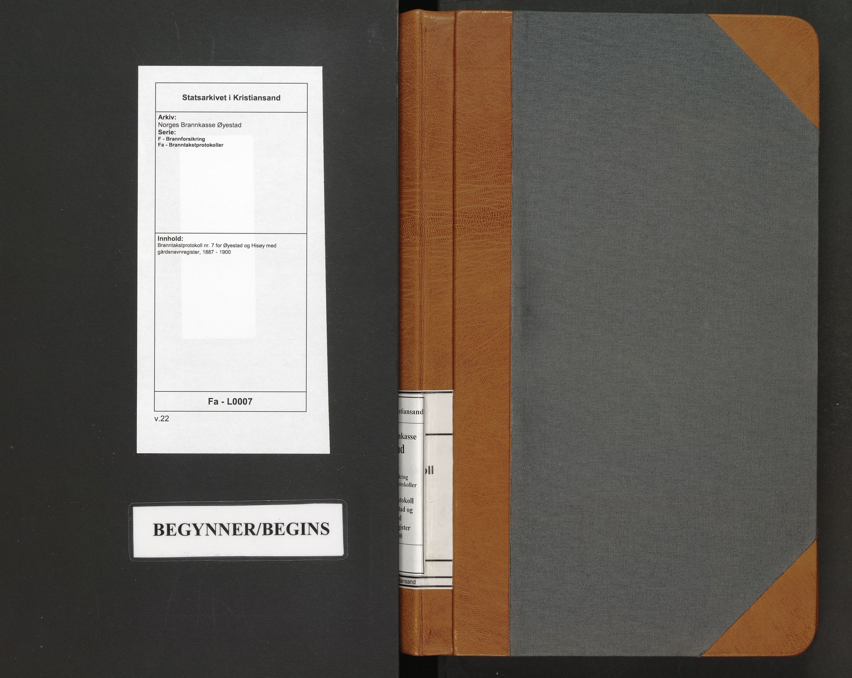 Norges Brannkasse Øyestad, AV/SAK-2241-0059/F/Fa/L0007: Branntakstprotokoll nr. 7 for Øyestad og Hisøy med gårdsnavnregister, 1887-1900