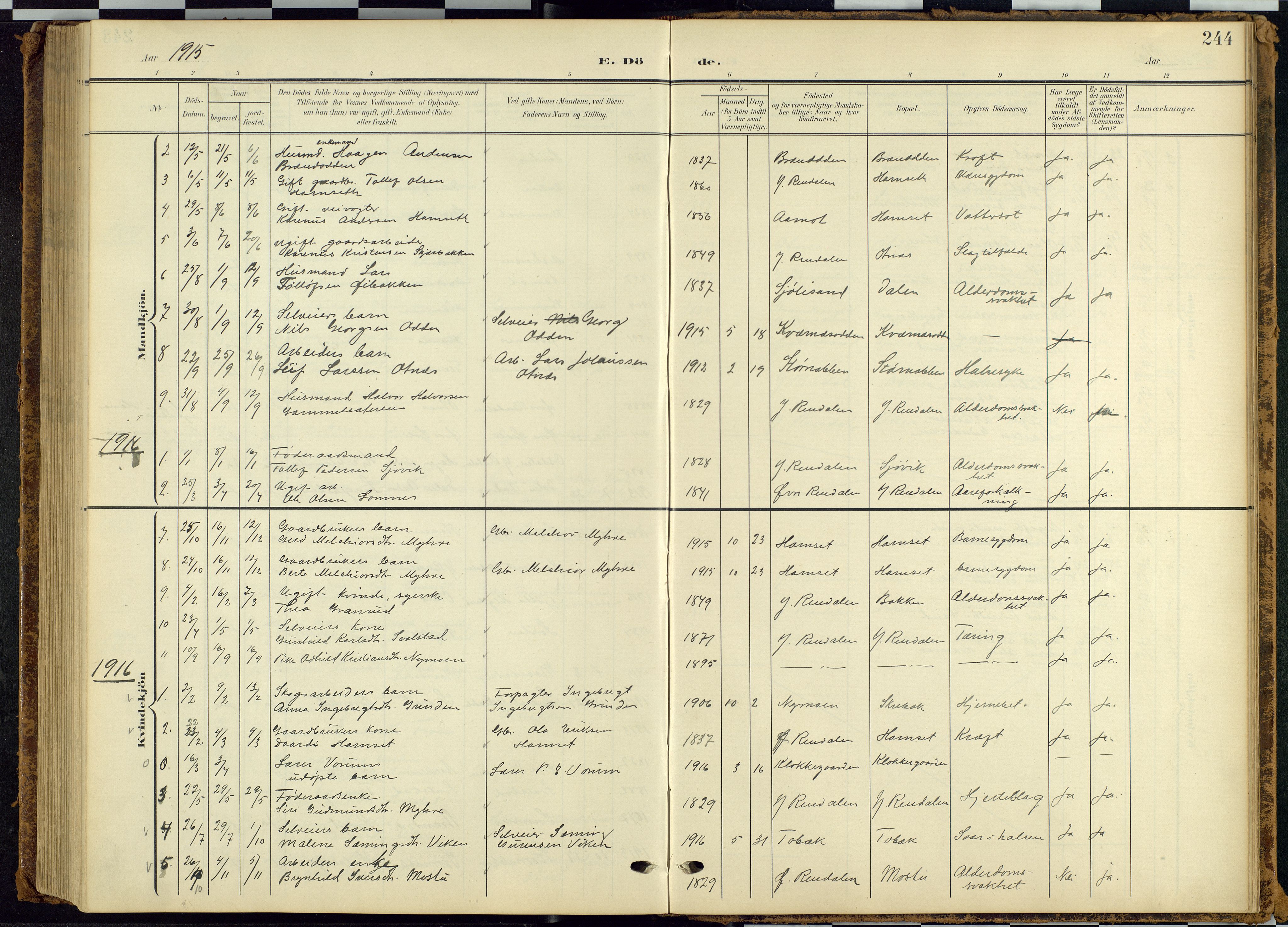 Rendalen prestekontor, SAH/PREST-054/H/Ha/Hab/L0010: Parish register (copy) no. 10, 1903-1940, p. 244