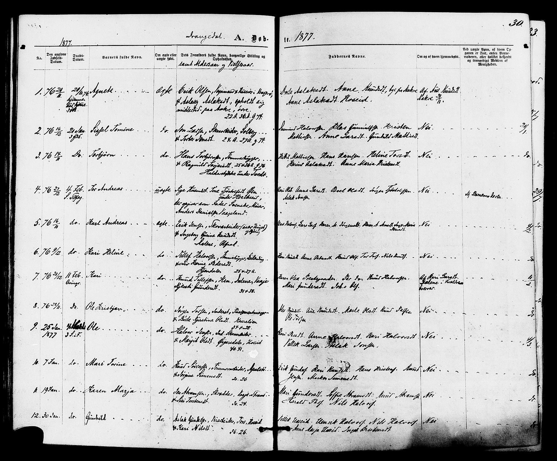 Drangedal kirkebøker, SAKO/A-258/F/Fa/L0009: Parish register (official) no. 9 /1, 1872-1884, p. 30