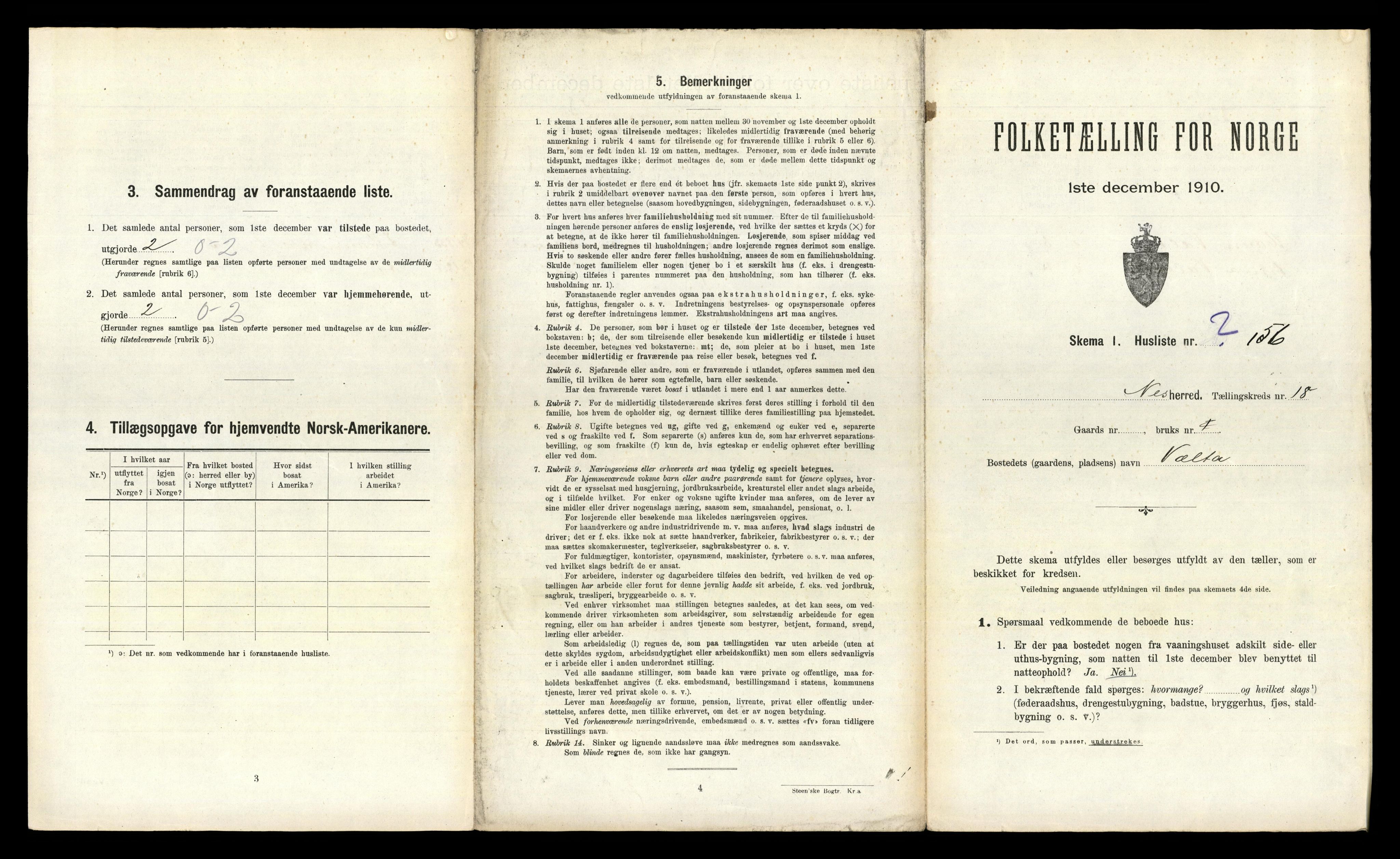 RA, 1910 census for Nes, 1910, p. 3000