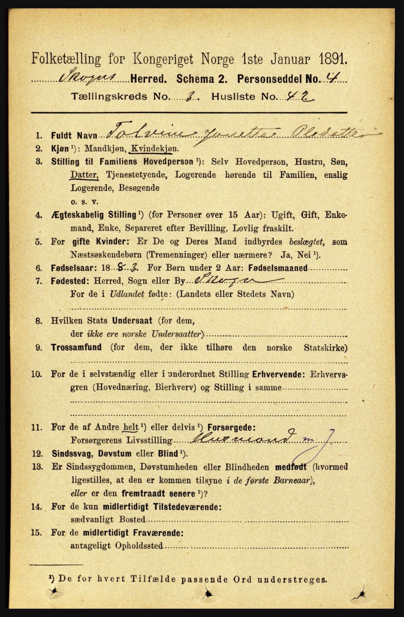 RA, 1891 census for 1719 Skogn, 1891, p. 1869