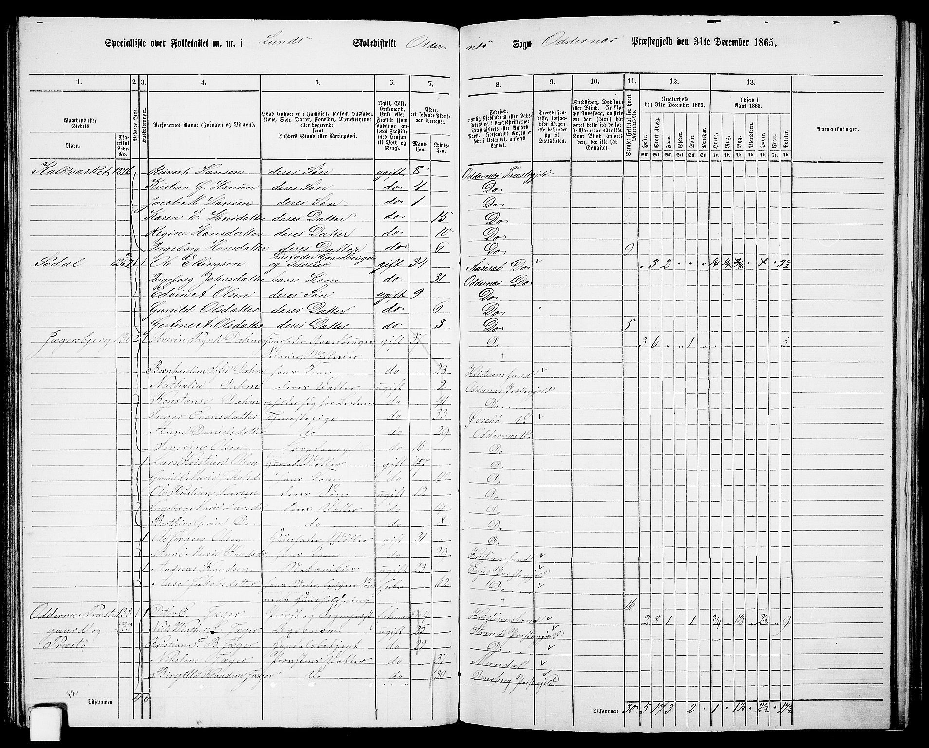 RA, 1865 census for Oddernes, 1865, p. 84