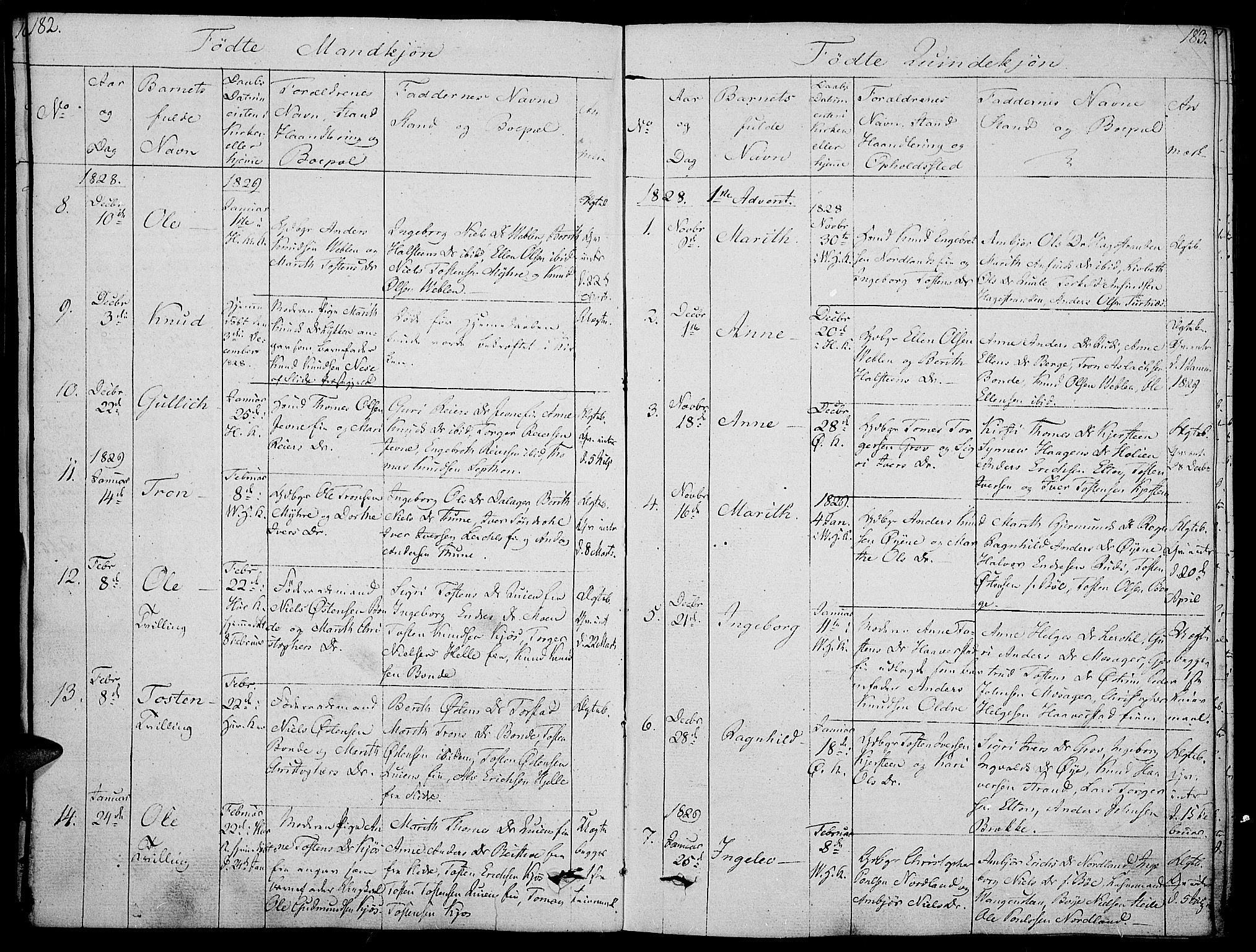 Vang prestekontor, Valdres, AV/SAH-PREST-140/H/Ha/L0003: Parish register (official) no. 3, 1809-1831, p. 182-183