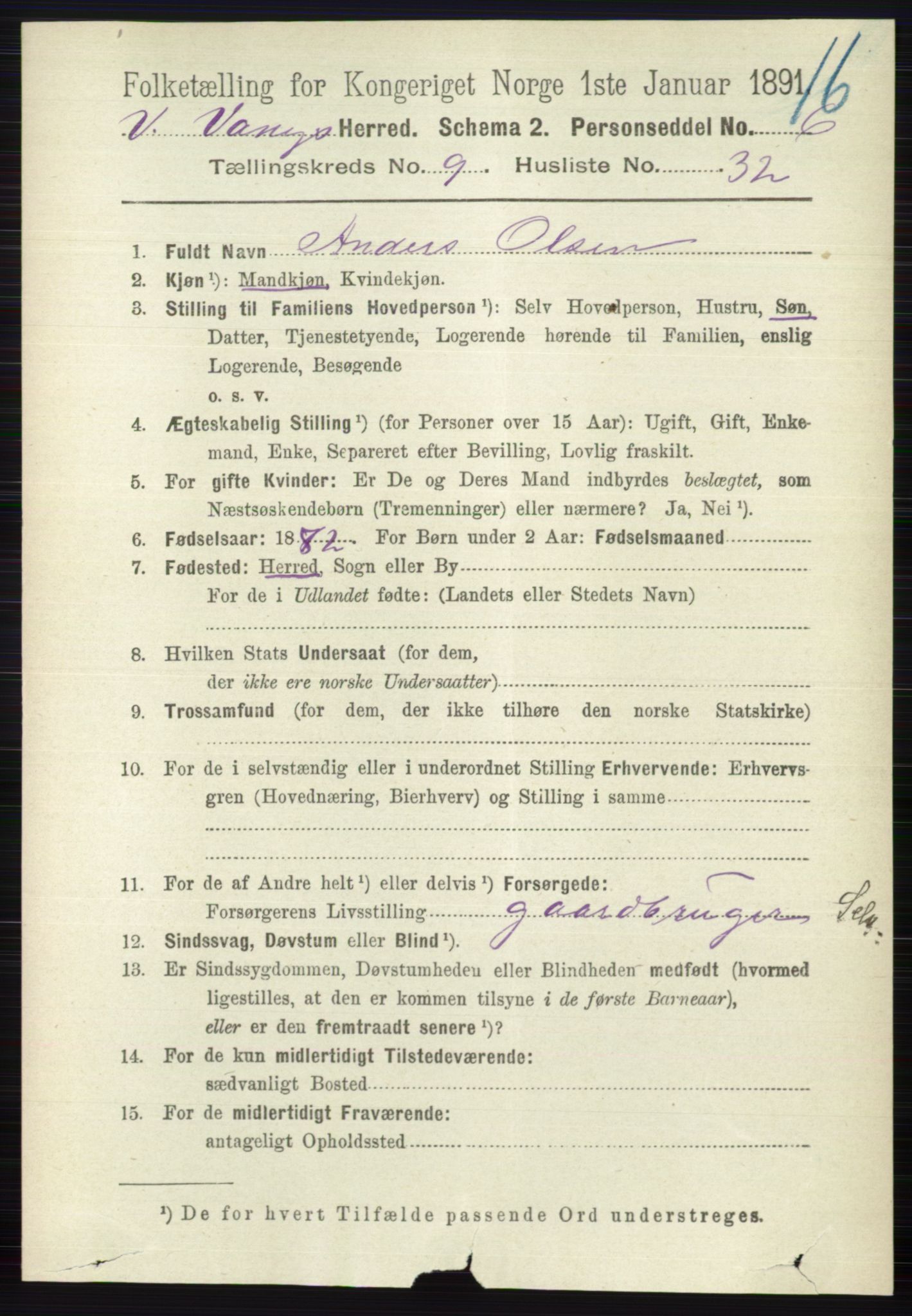 RA, 1891 census for 0545 Vang, 1891, p. 2141