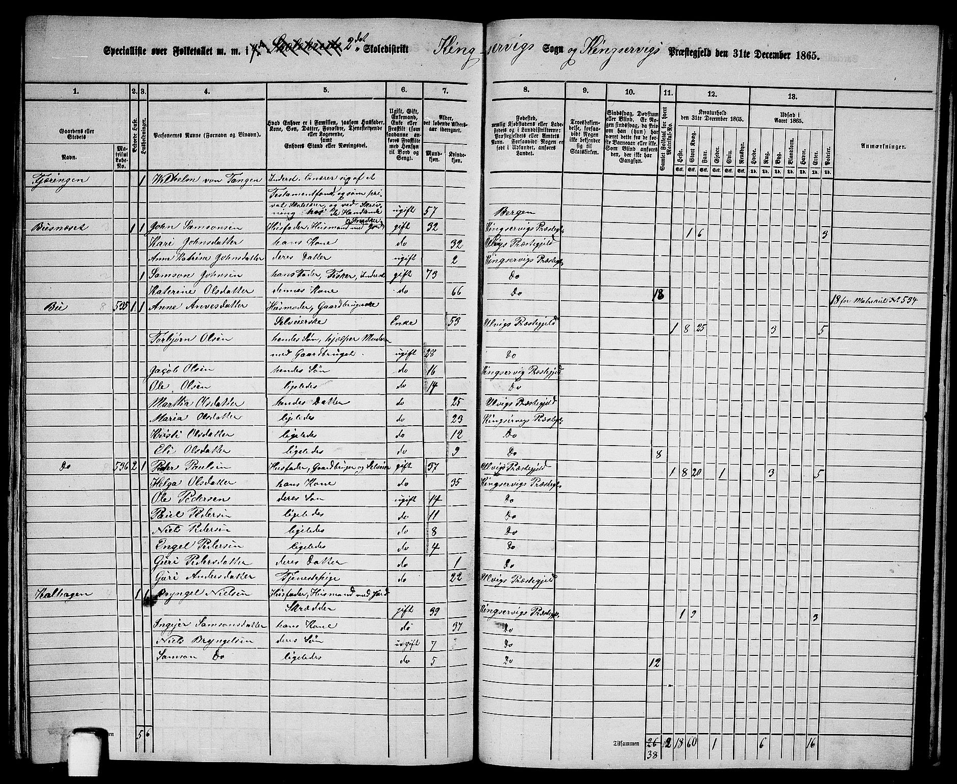 RA, 1865 census for Kinsarvik, 1865, p. 232